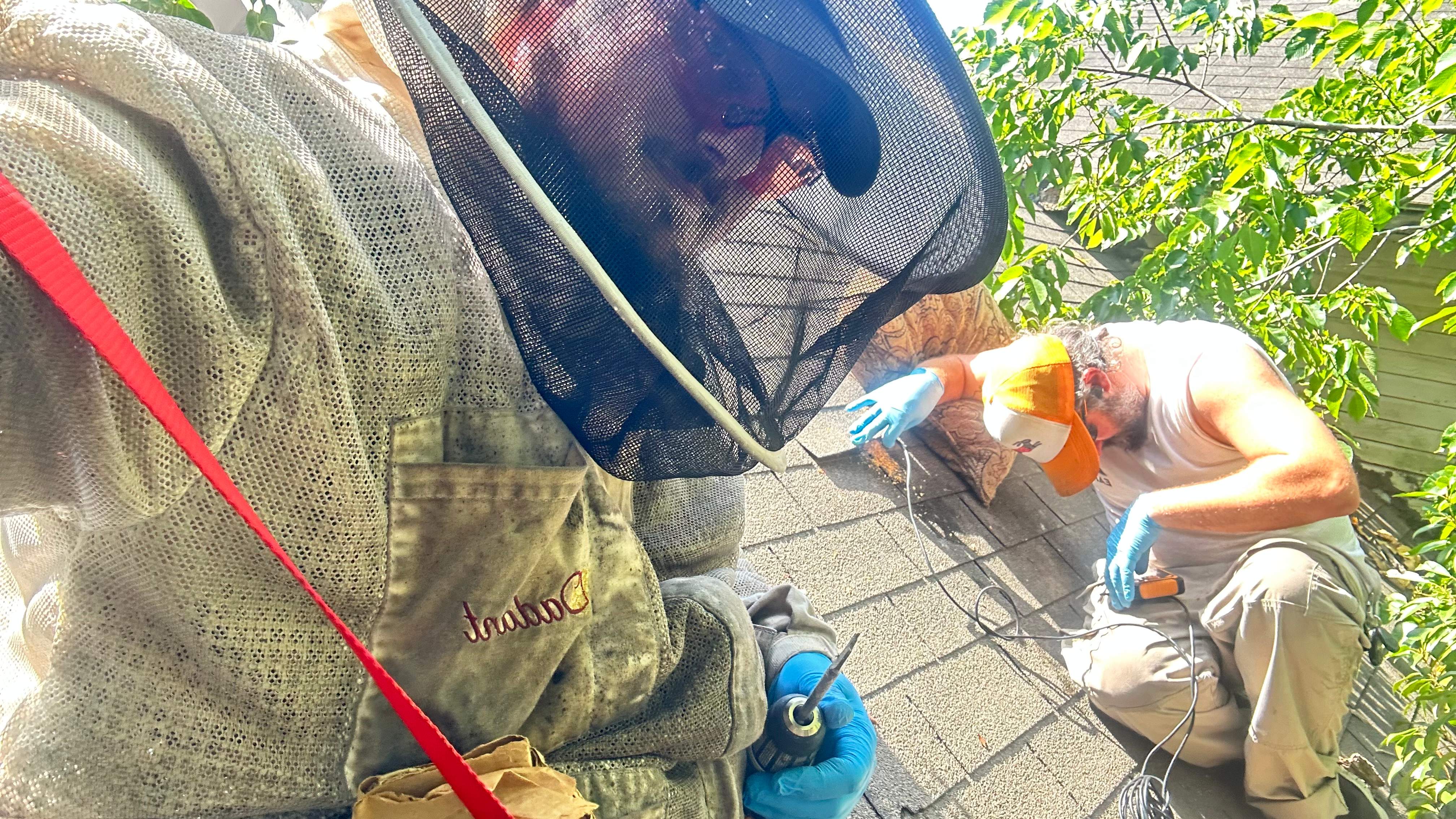 Under Shingles by Rockwall Honey Bee Company