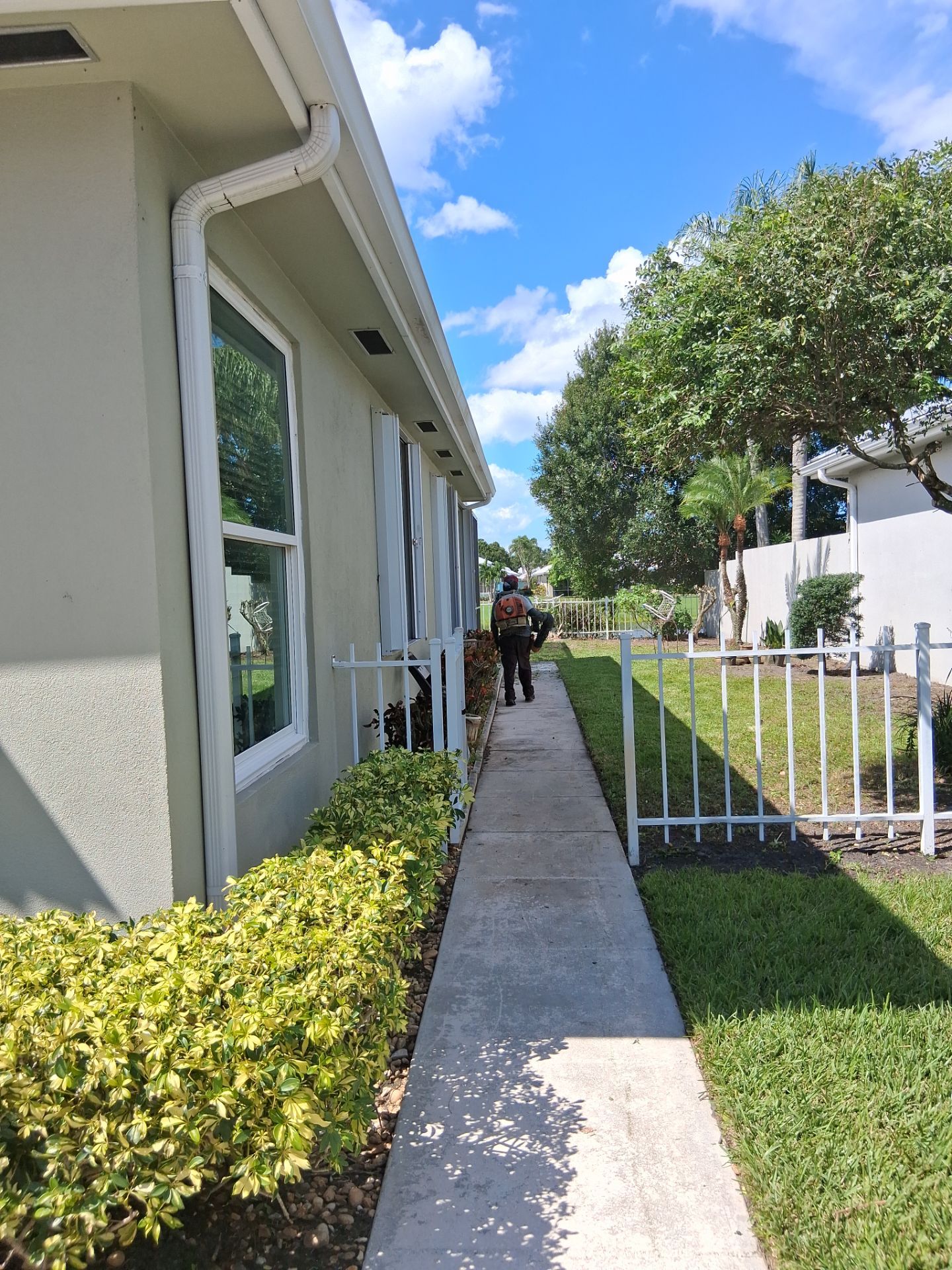 🌱 Evergreen Residential Cleanup — Palm City by Alpha Zeta Enterprises Inc