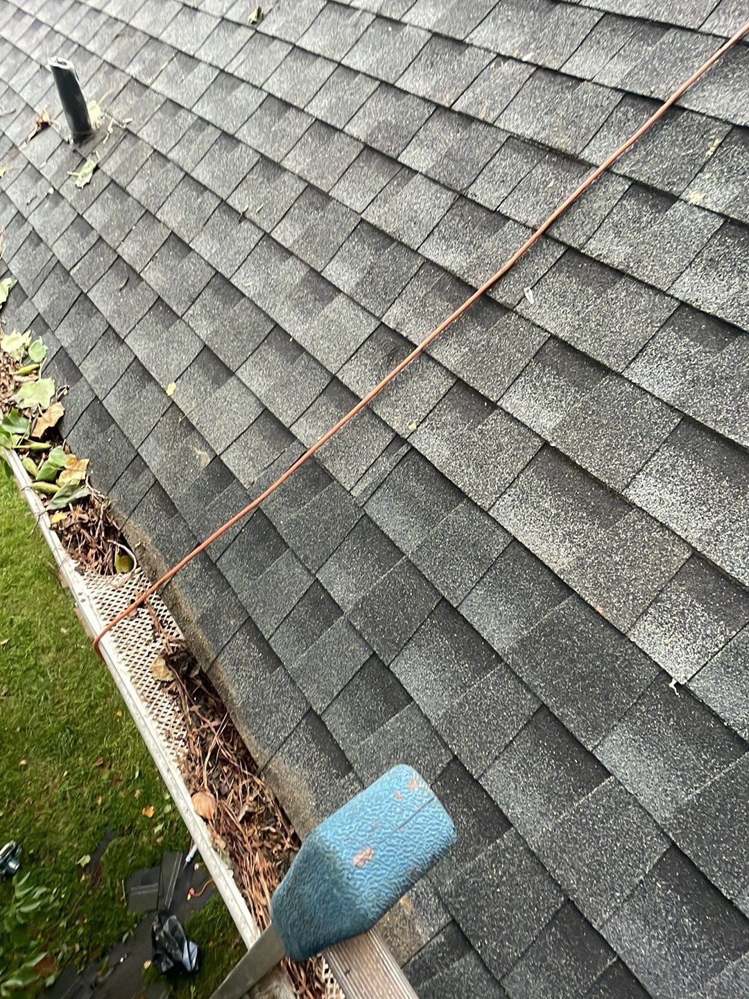 🌳 Tree Limb Hole Repair by Georgia Roof Advisors