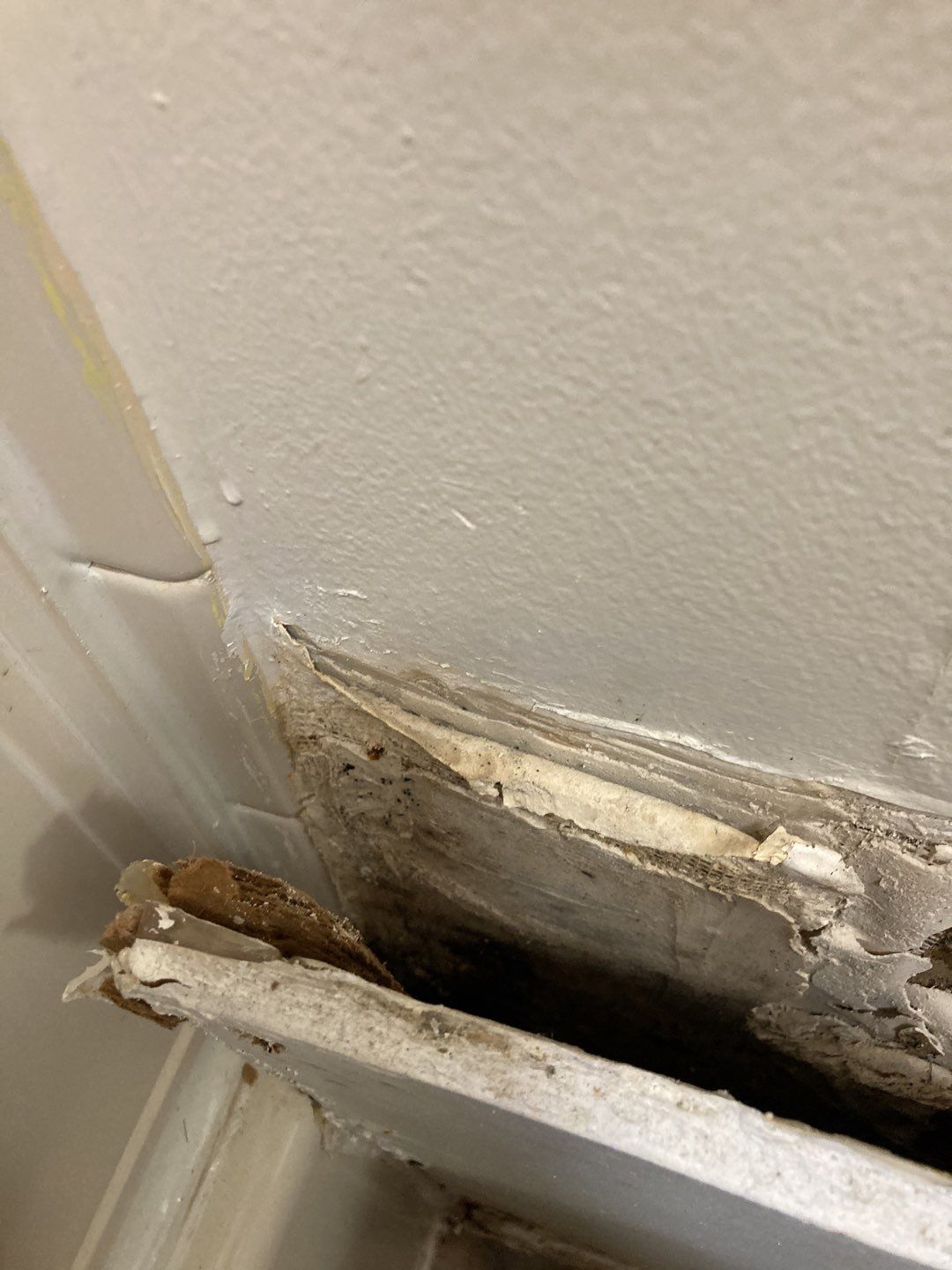 Water Damage in Bathroom by Accountable Home Services