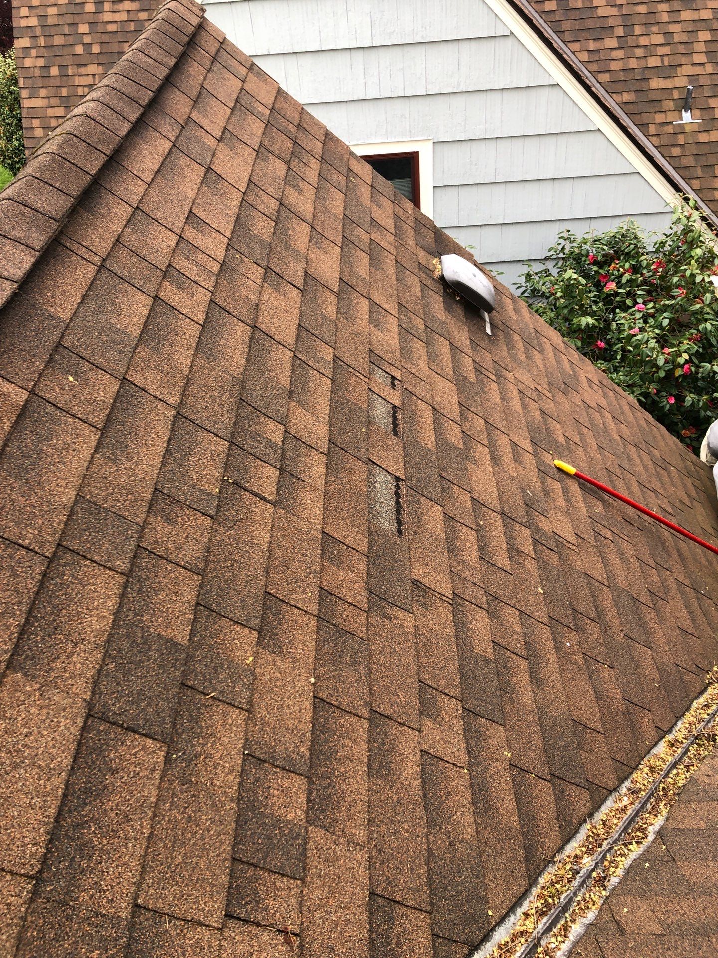 Project in Seattle by Peaks and Valleys Construction