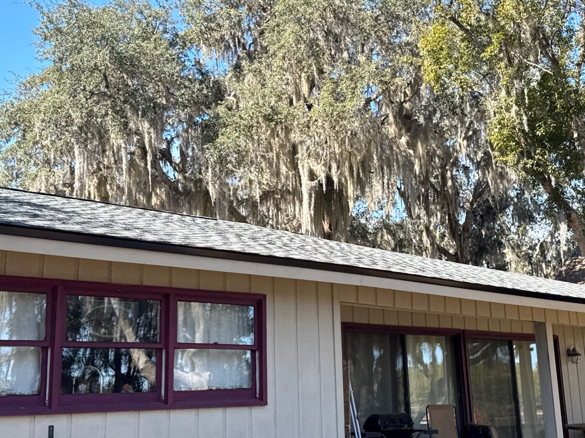 Shingle Reroof Replacement Repair Paisley FL by Pinnacle Roofing Group