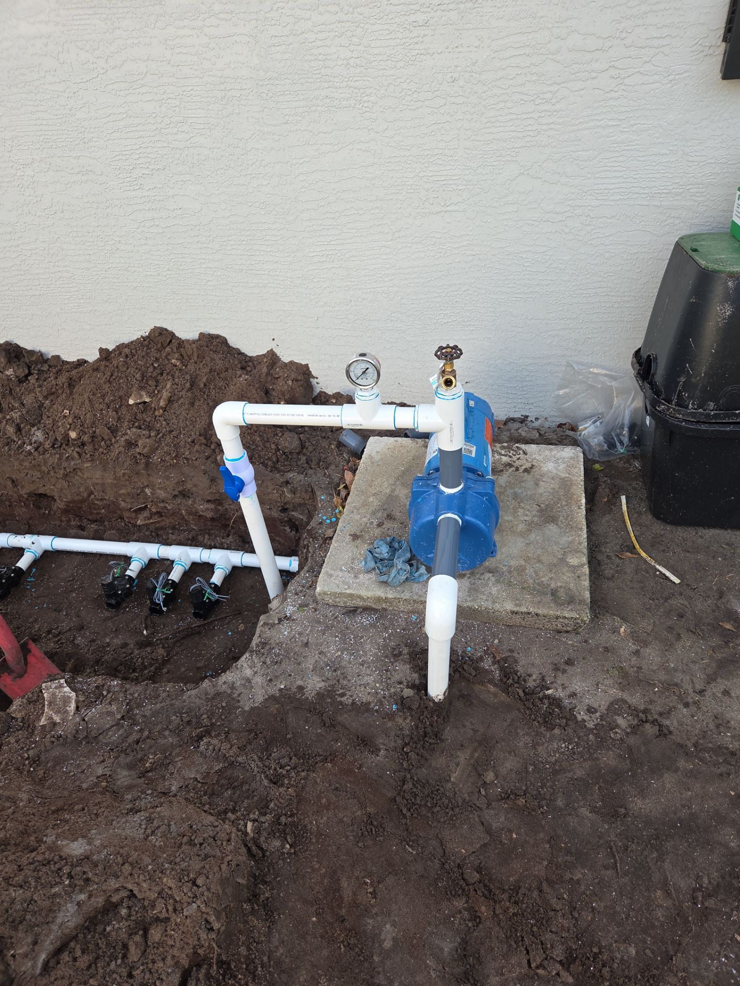 Landscaping and Irrigation for New Construction in Mariner Sands by Alpha Zeta Enterprises Inc
