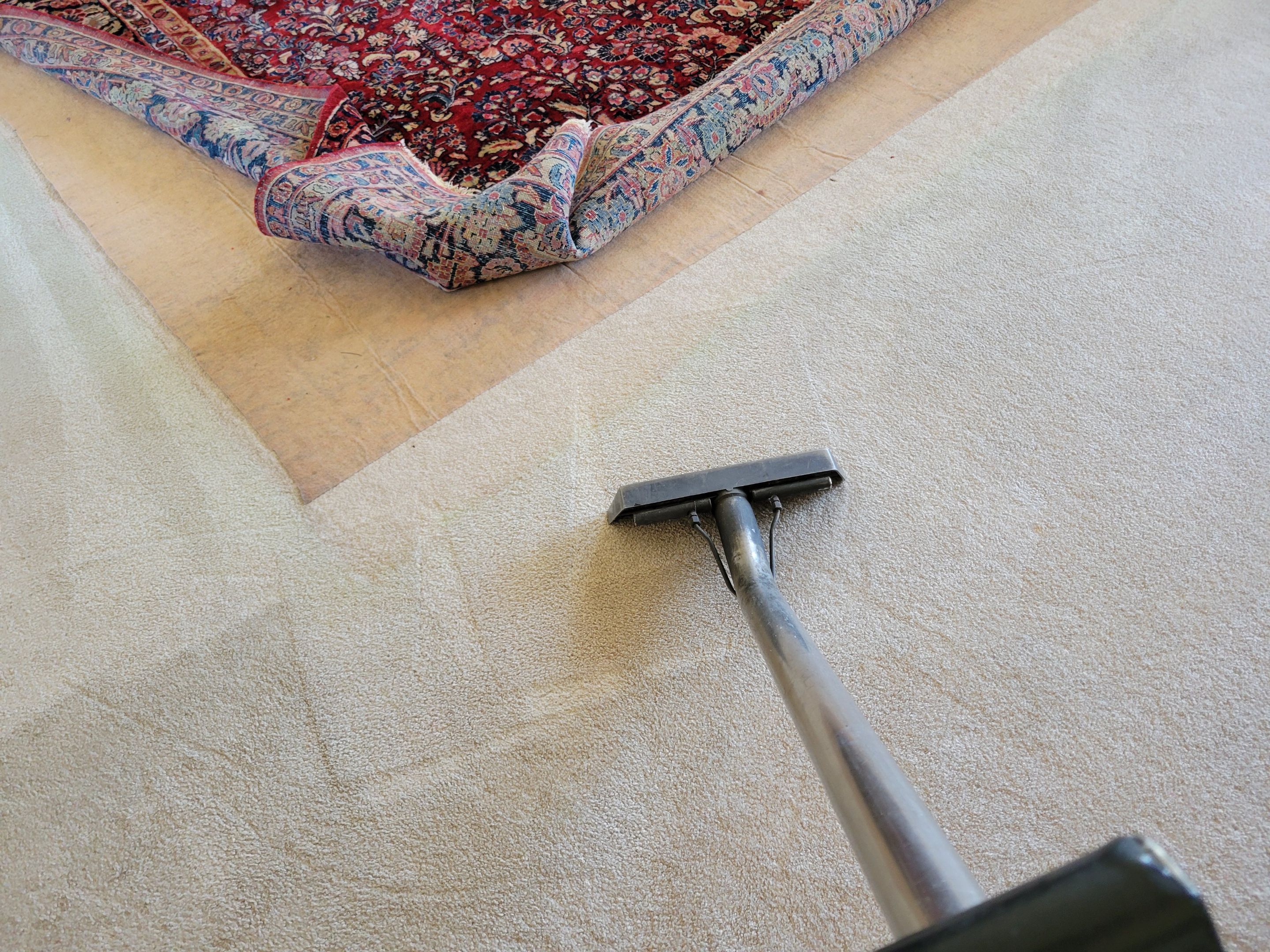 Never Cleaned Before, Carpet Clean by Ardent Carpet Restore LLC