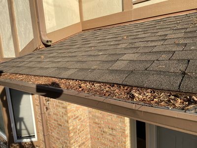 Turtle Shell gutter protection installation in Naperville, IL 60565, photograph 20