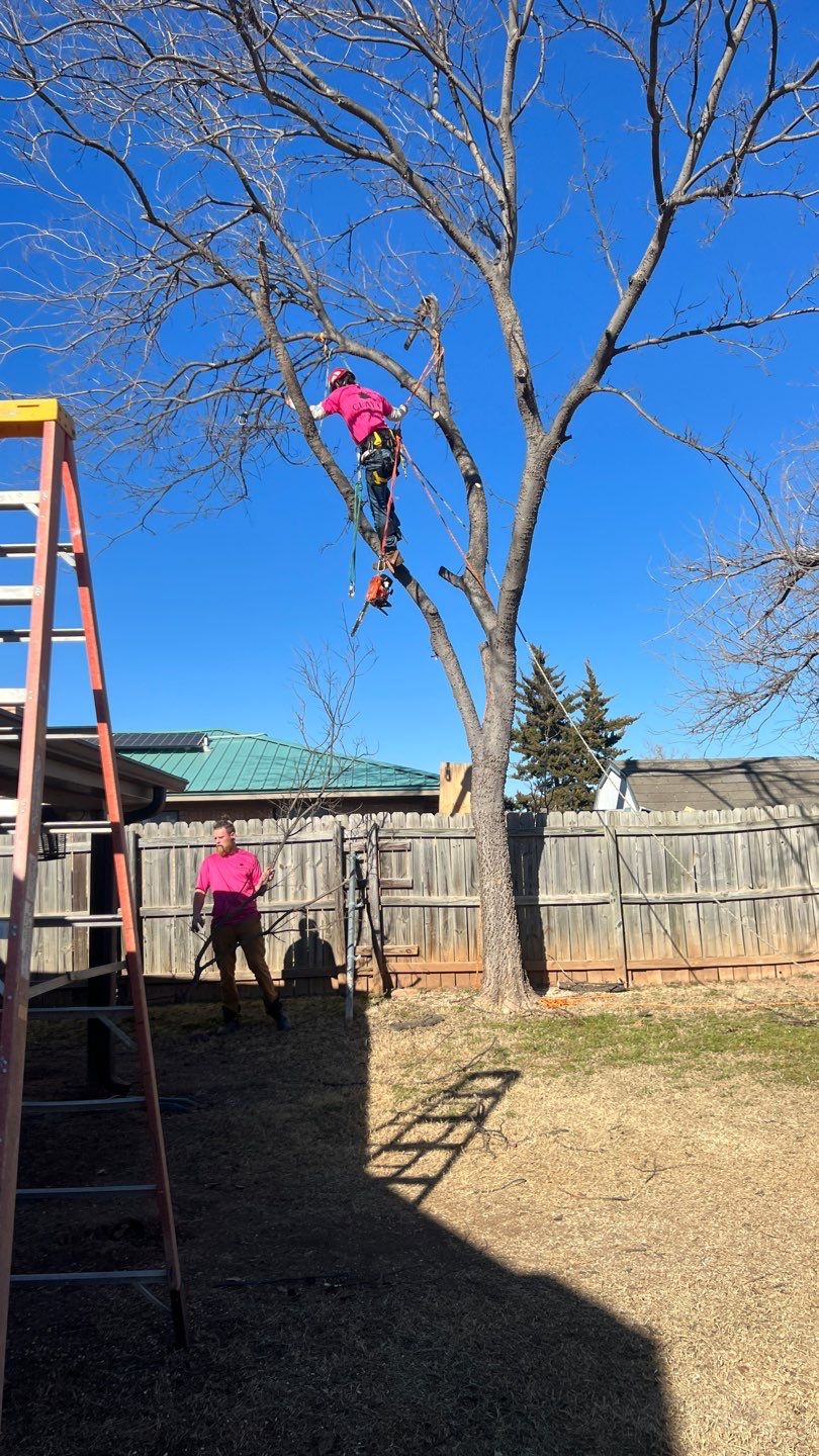 Fence , Concrete Pads , and Tree Removal by Clays Services Inc