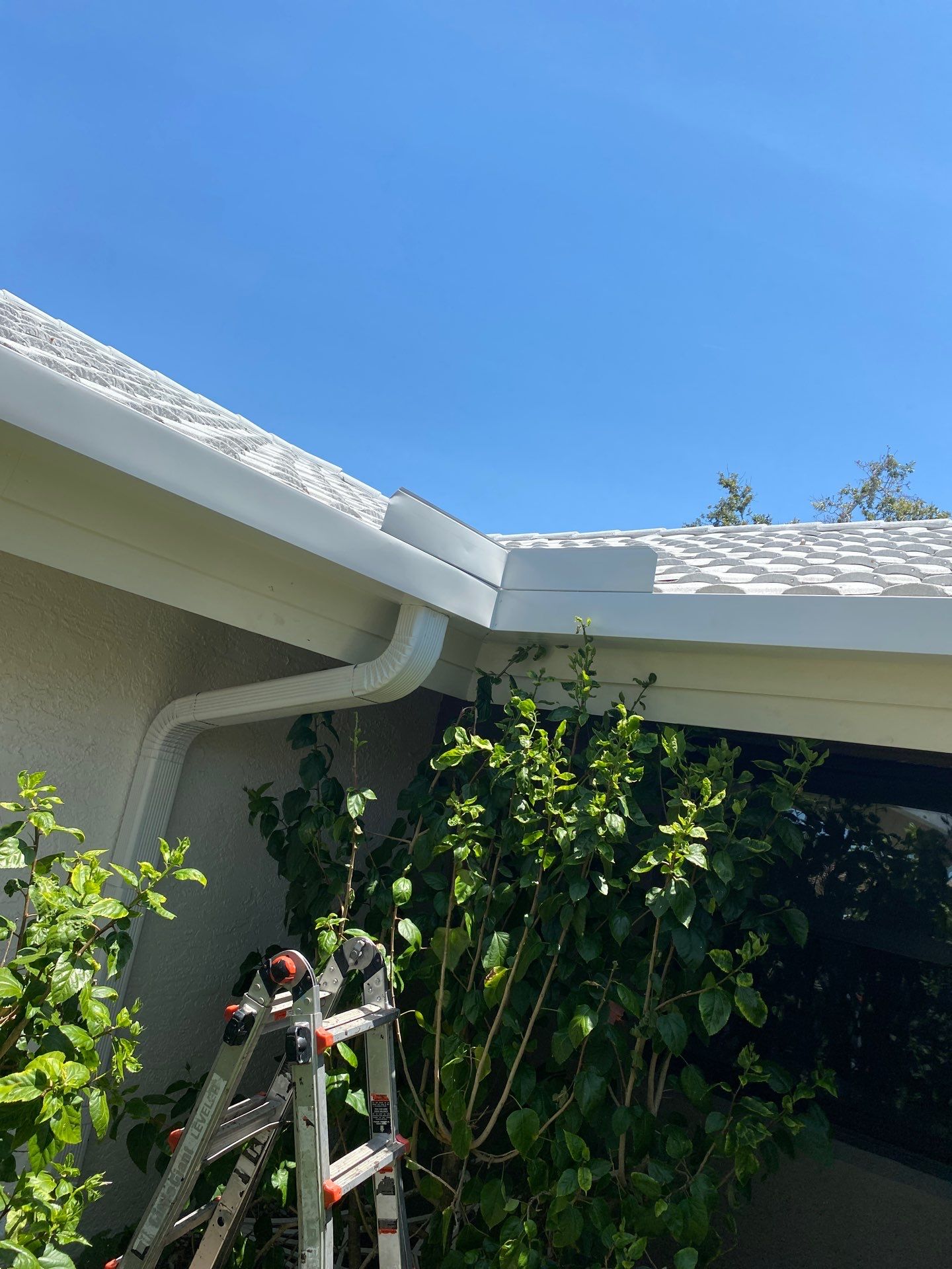 7-Inch Seamless Gutters Upgrade in Osprey FL by Gutter Professors