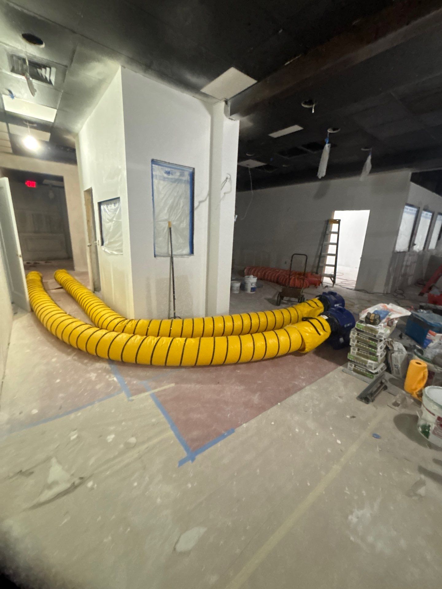 Commercial Building Mold Removal In Clearwater by Ampm Restoration Services