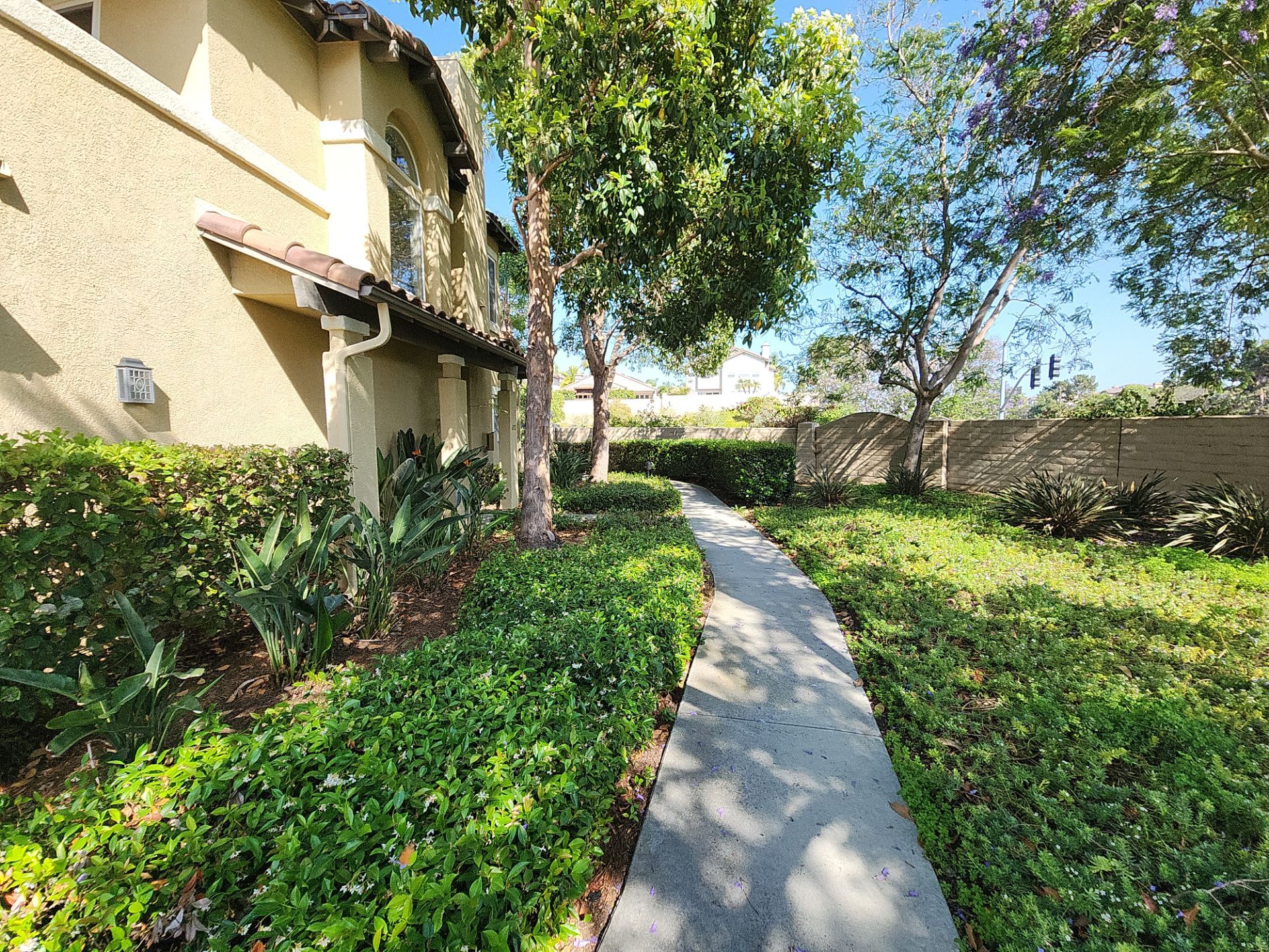 Small Patio Clean Up in Carlsbad by Yard Techs