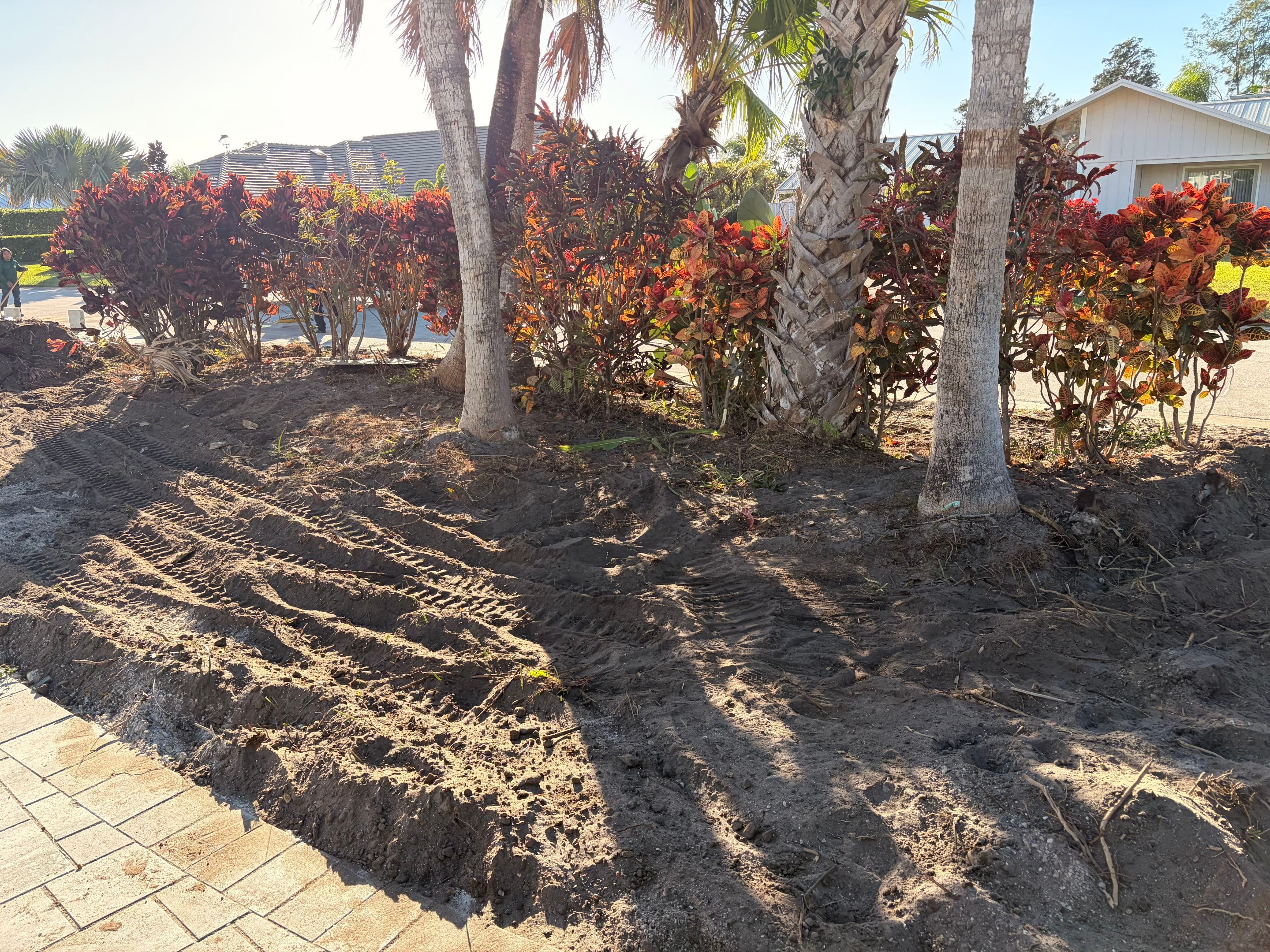 Landscaping and Irrigation for New Construction in Mariner Sands by Alpha Zeta Enterprises Inc