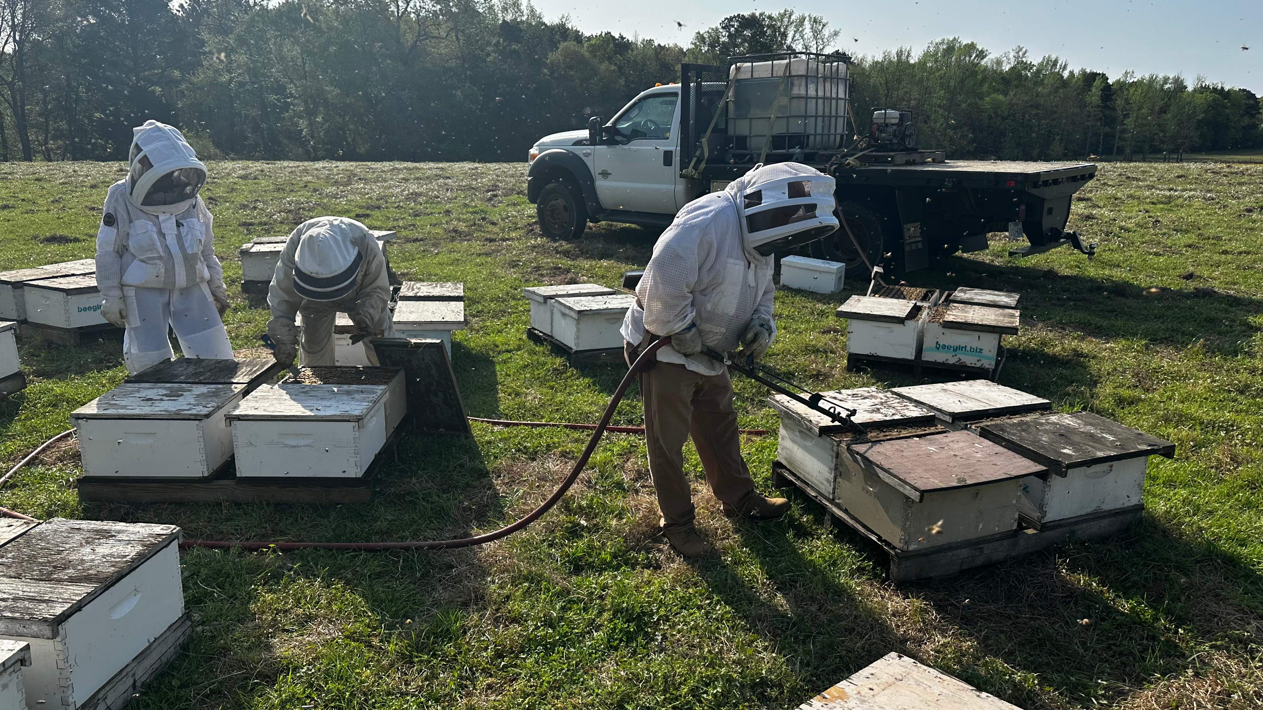 Traylor's Hay Meadow Apiary by Rockwall Honey Bee Company