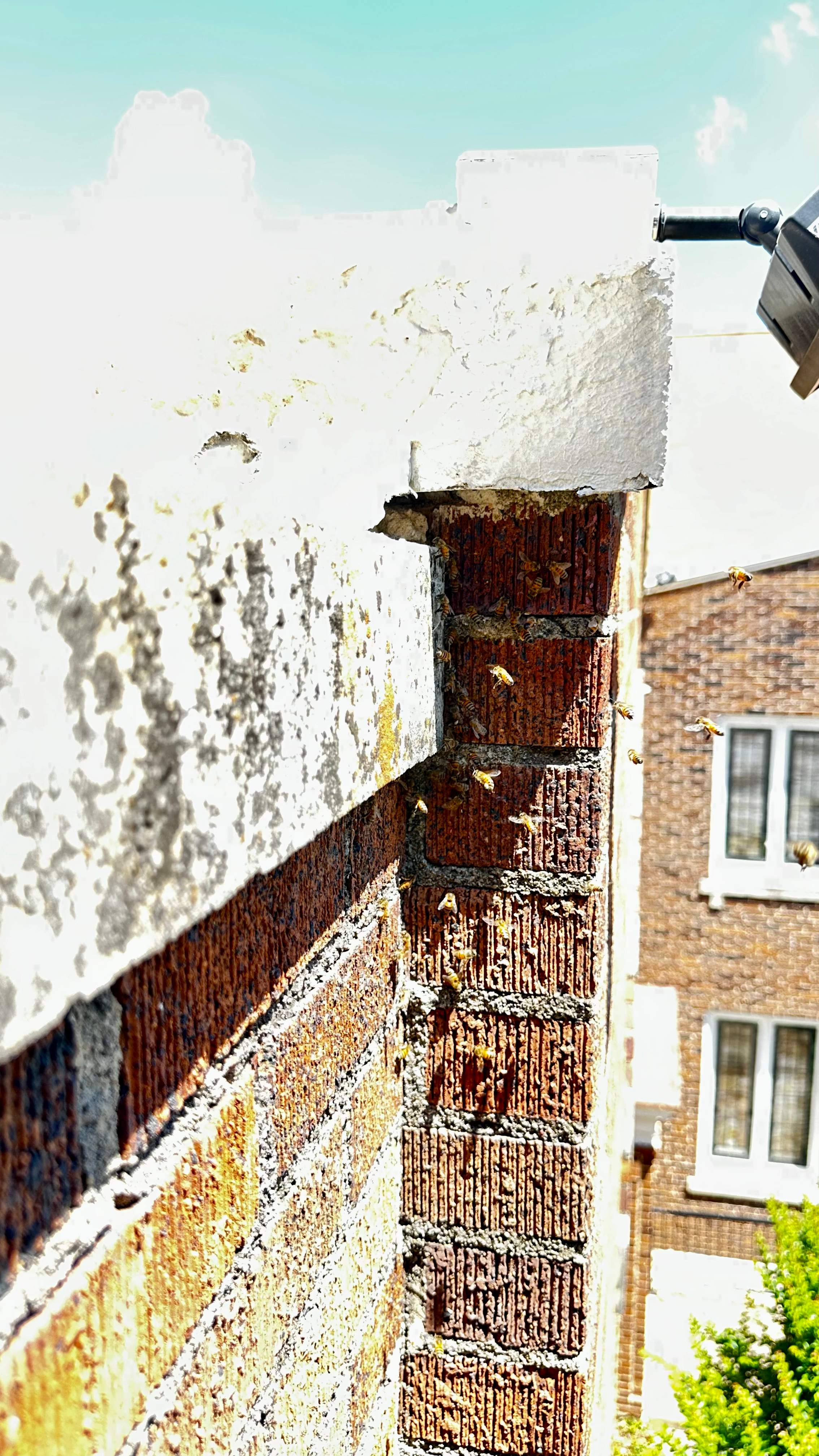 Church by Rockwall Honey Bee Company