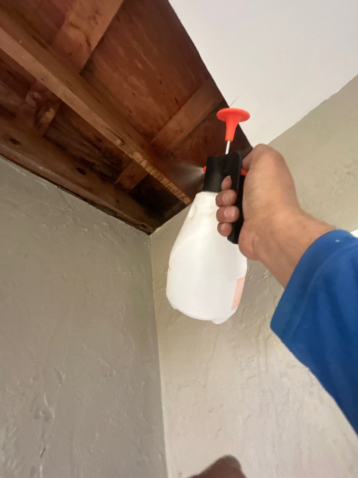 Commercial Water Damage Restoration In Bradenton by Ampm Restoration Services