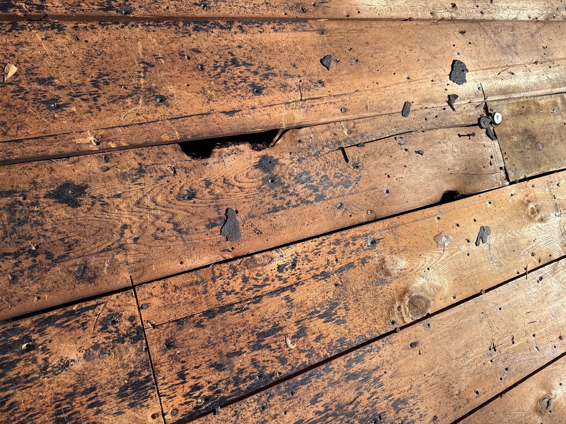 Project in St. Petersburg 33714 by Mitchell Roofing Company LLC 