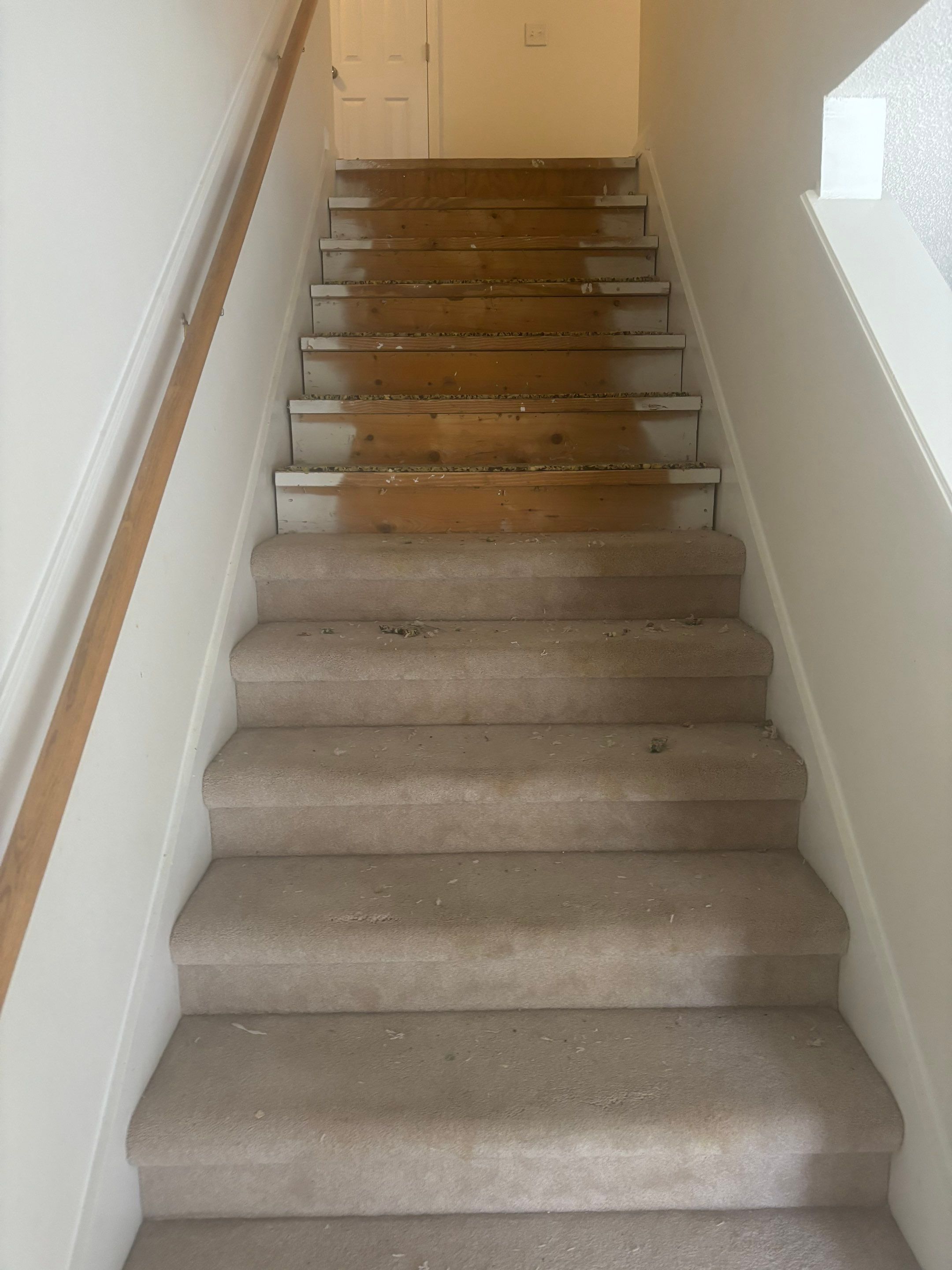 Project in Jacksonville by Serene Construction