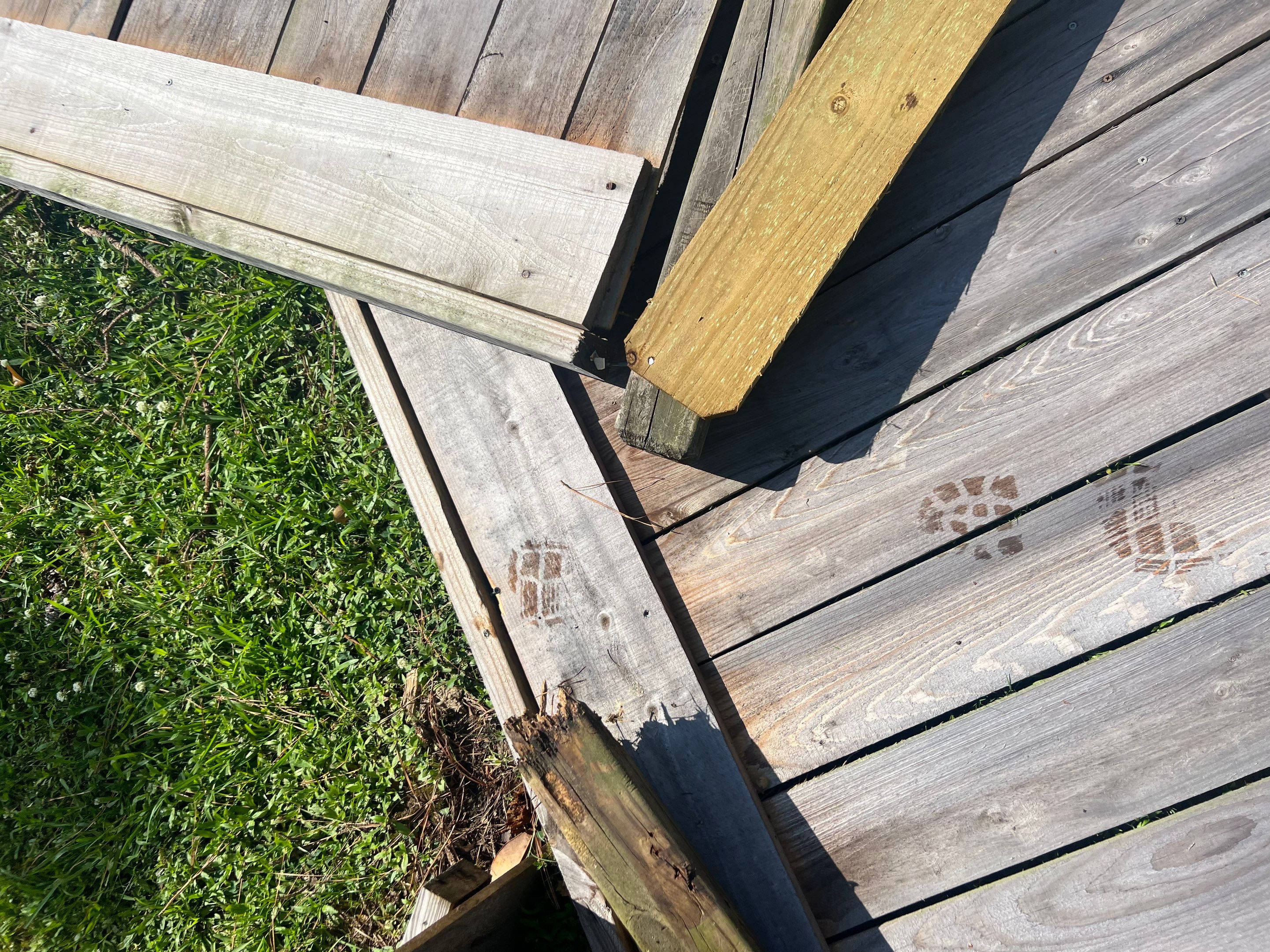 6ft Cedar Good Neighbor Fence Repair by Roberson Construction LLC