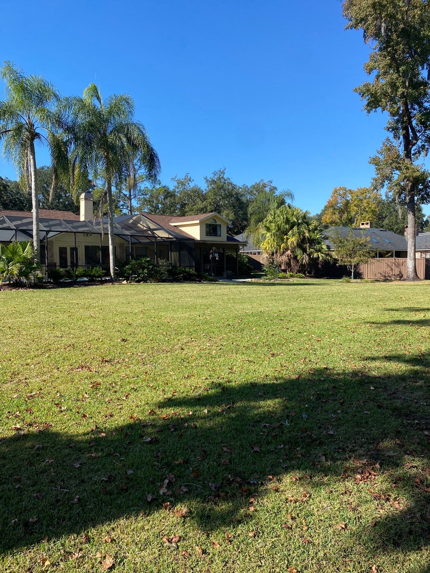 Deerwood Resident | Extreme Clean Up by ProGreen Services