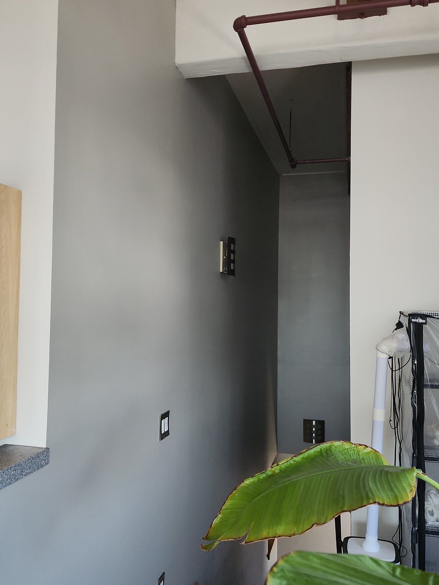 Interior Painting and Drywall Repair Services for Urban Apartment by OCS Contracting Services