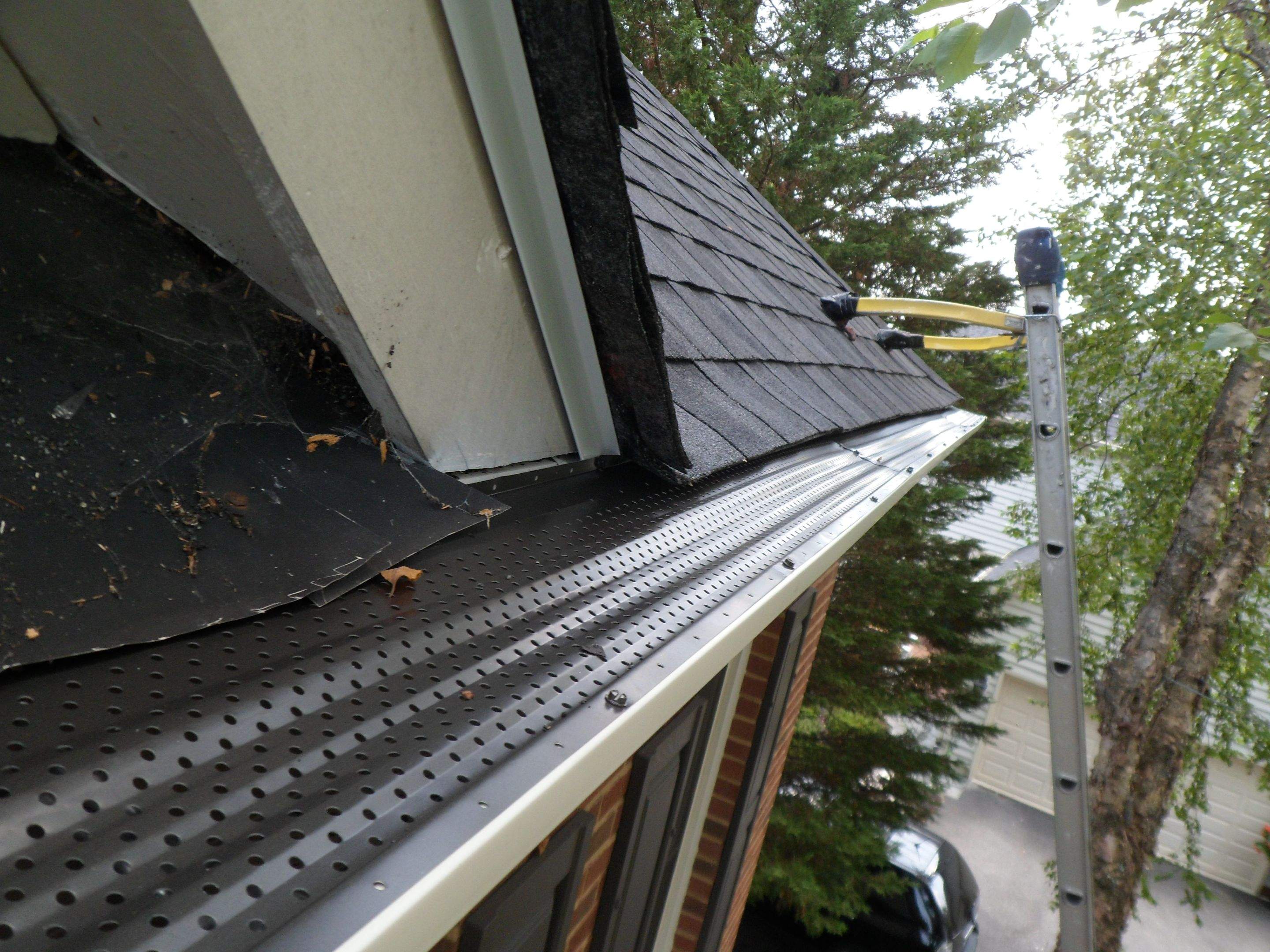 New Shingle Roof & New Gutters and downspouts with covers by Alpha Design Services