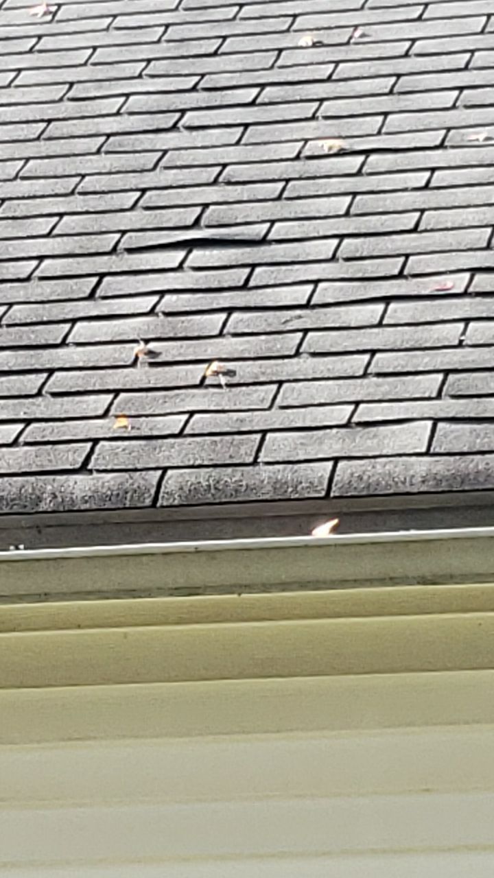 ATLAS PINNACLE SCOTCHGARD COLOR: PEWTER DRIP EDGE: BLACK by Eagle Eye Roofing