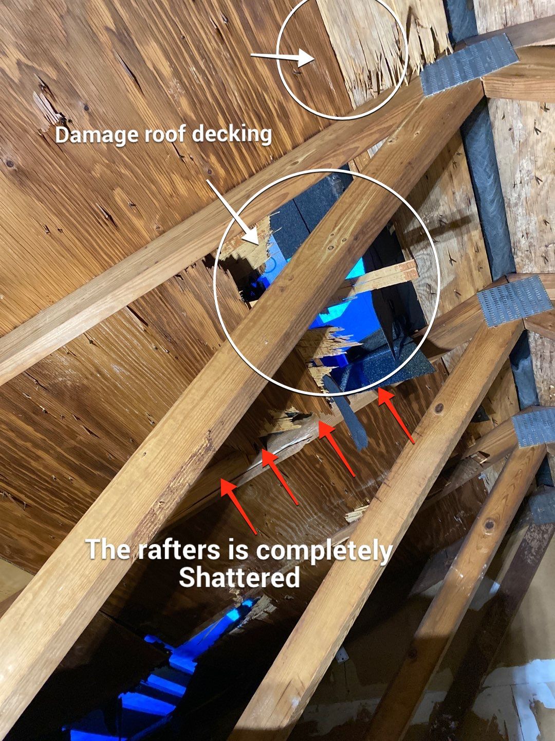 Roof Repair  by Alpha Design Services