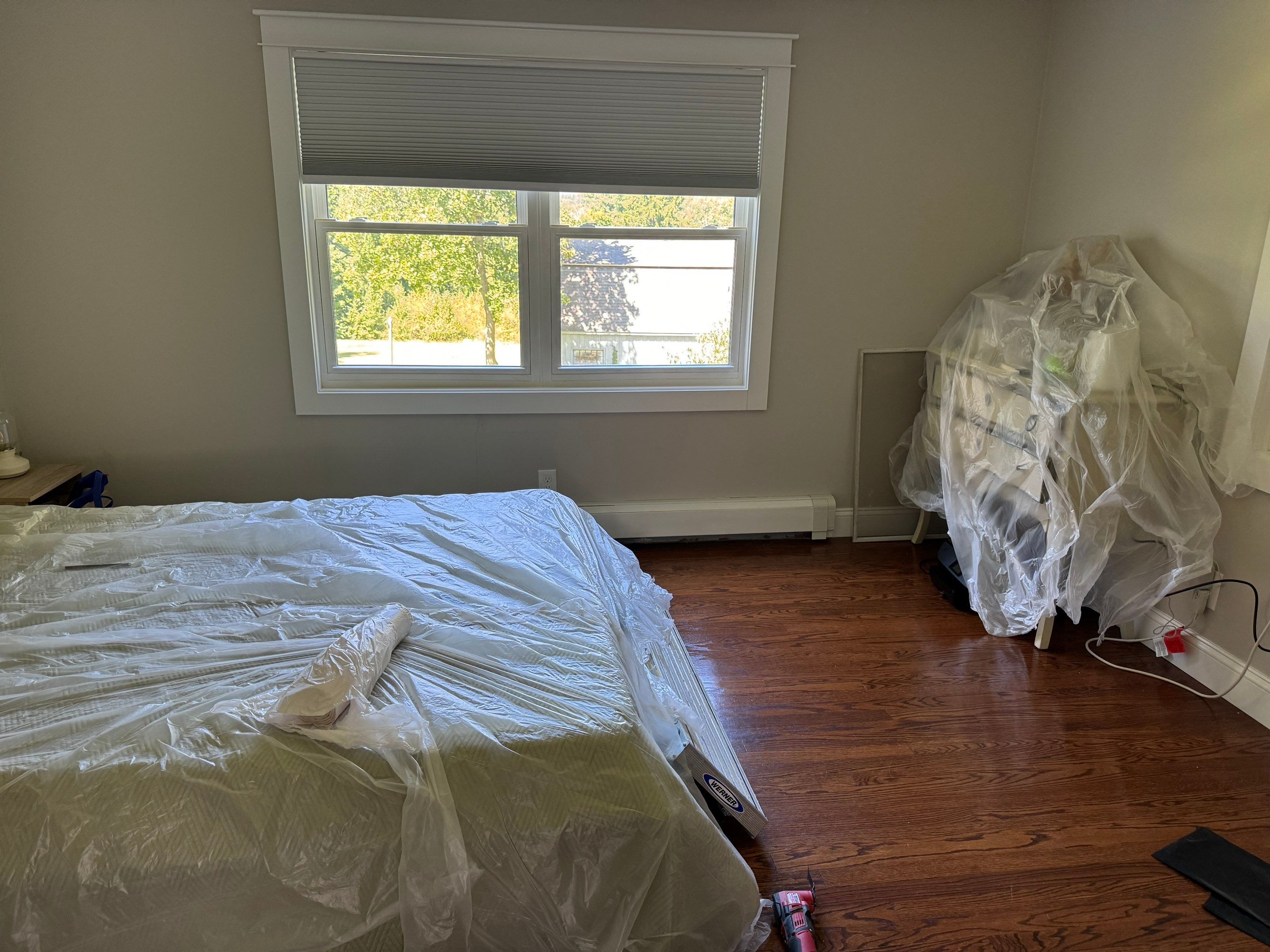 Bedroom Mold Remediation by Home Guarantee, LLC