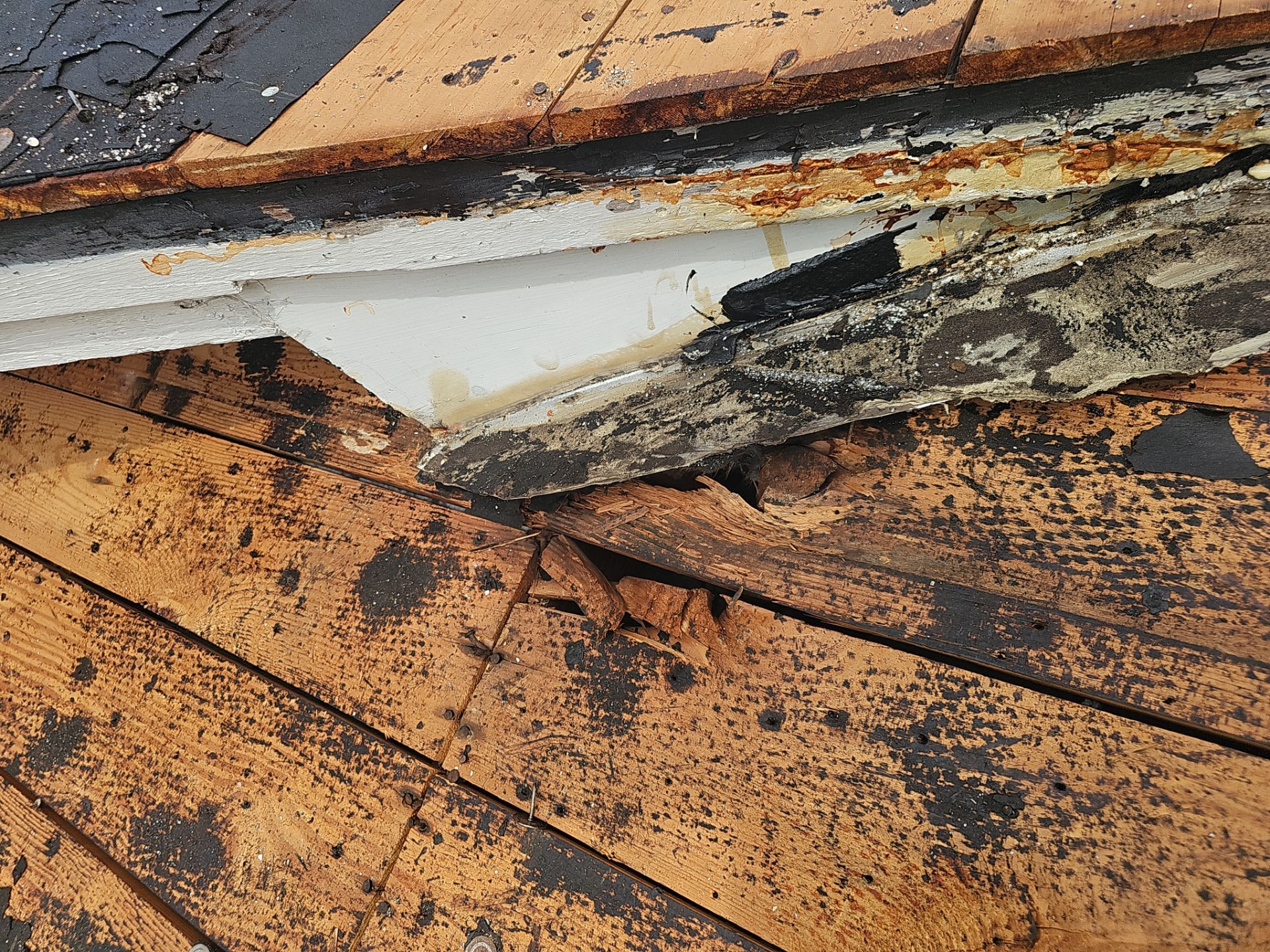 Project in St. Petersburg 33705 by Mitchell Roofing Company LLC