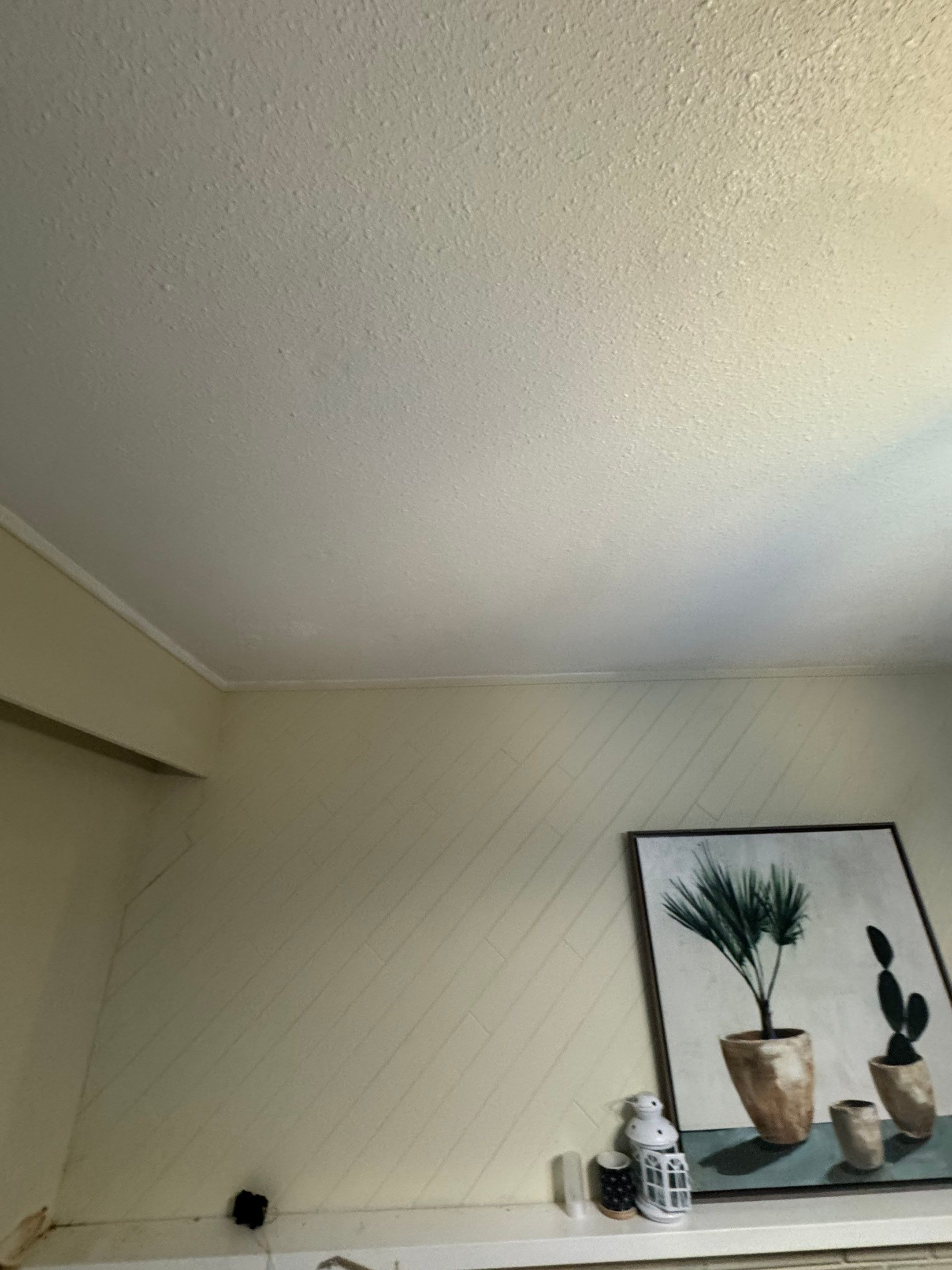 Ceiling Repair by YVR Construction Group