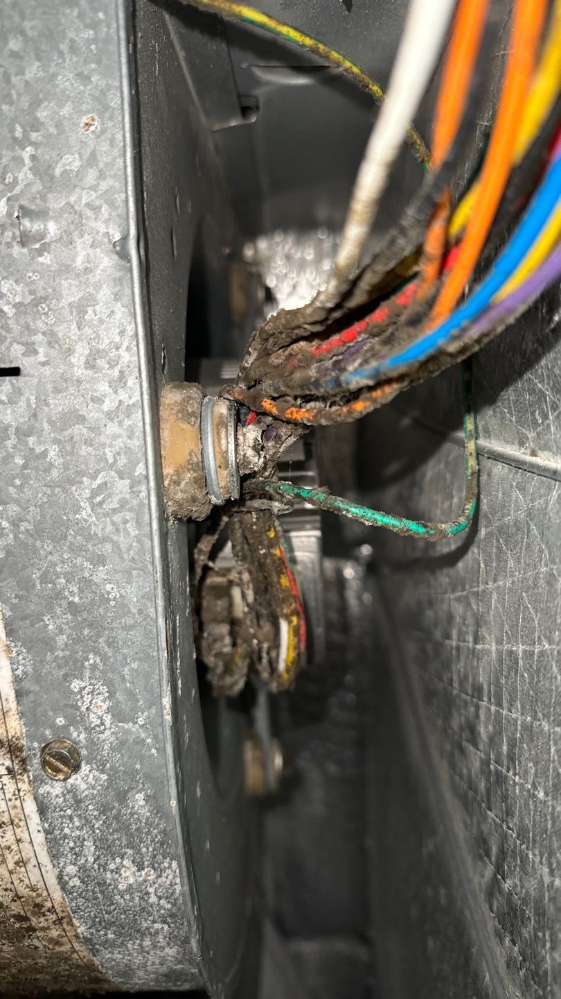 Air Duct Cleaning in Tavares by Hygienic Air, Inc