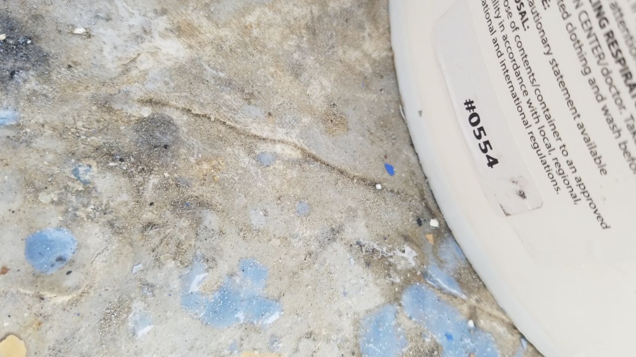 Installers have Feline supervision by Spectrum Painting, LLC
