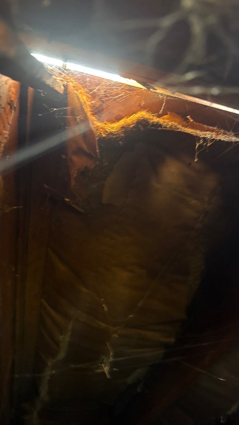 Roof Replacement using Owens Corning Colonial Slate by 180 Contractors