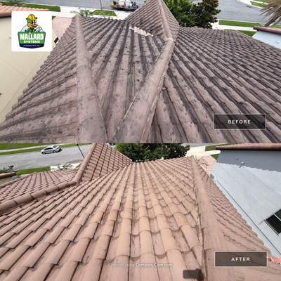 Roof Cleaning