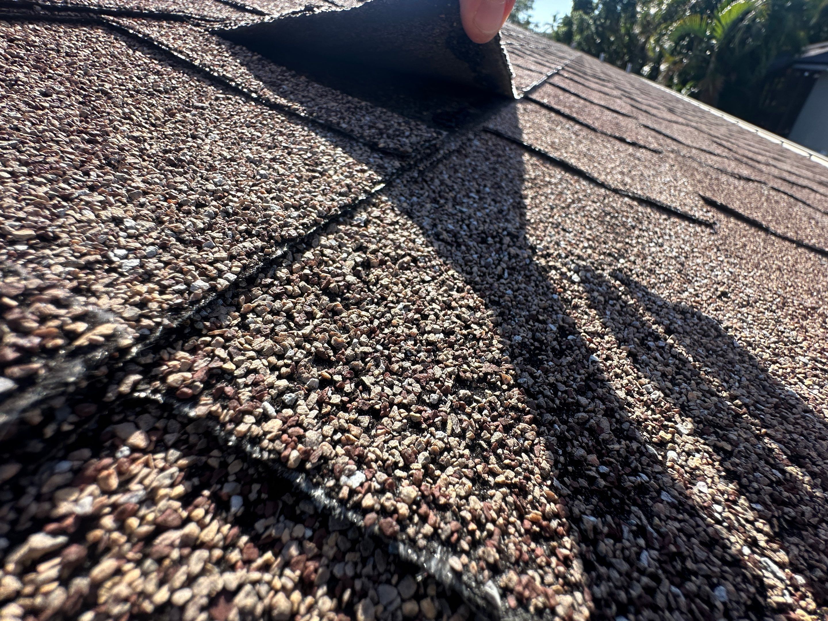 Roof Damage Claim in Palm Harbor by FLAPA & KeyStone