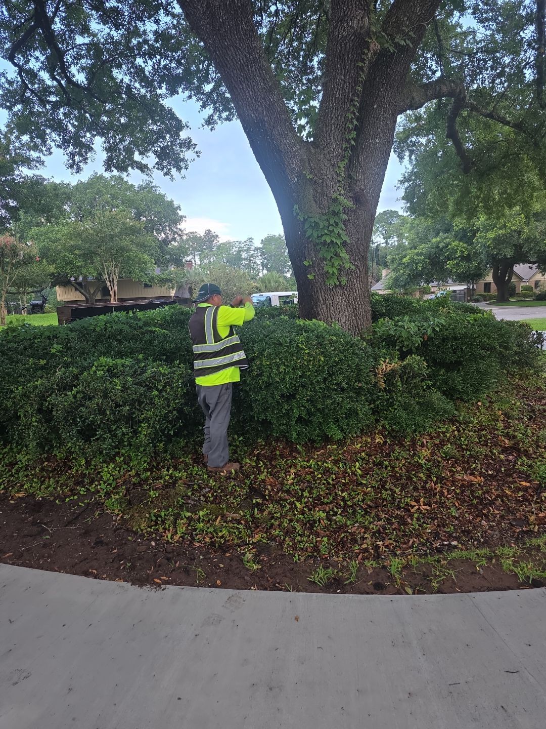 Deerwood Resident | Mulch Install & Clean-Up by ProGreen Services