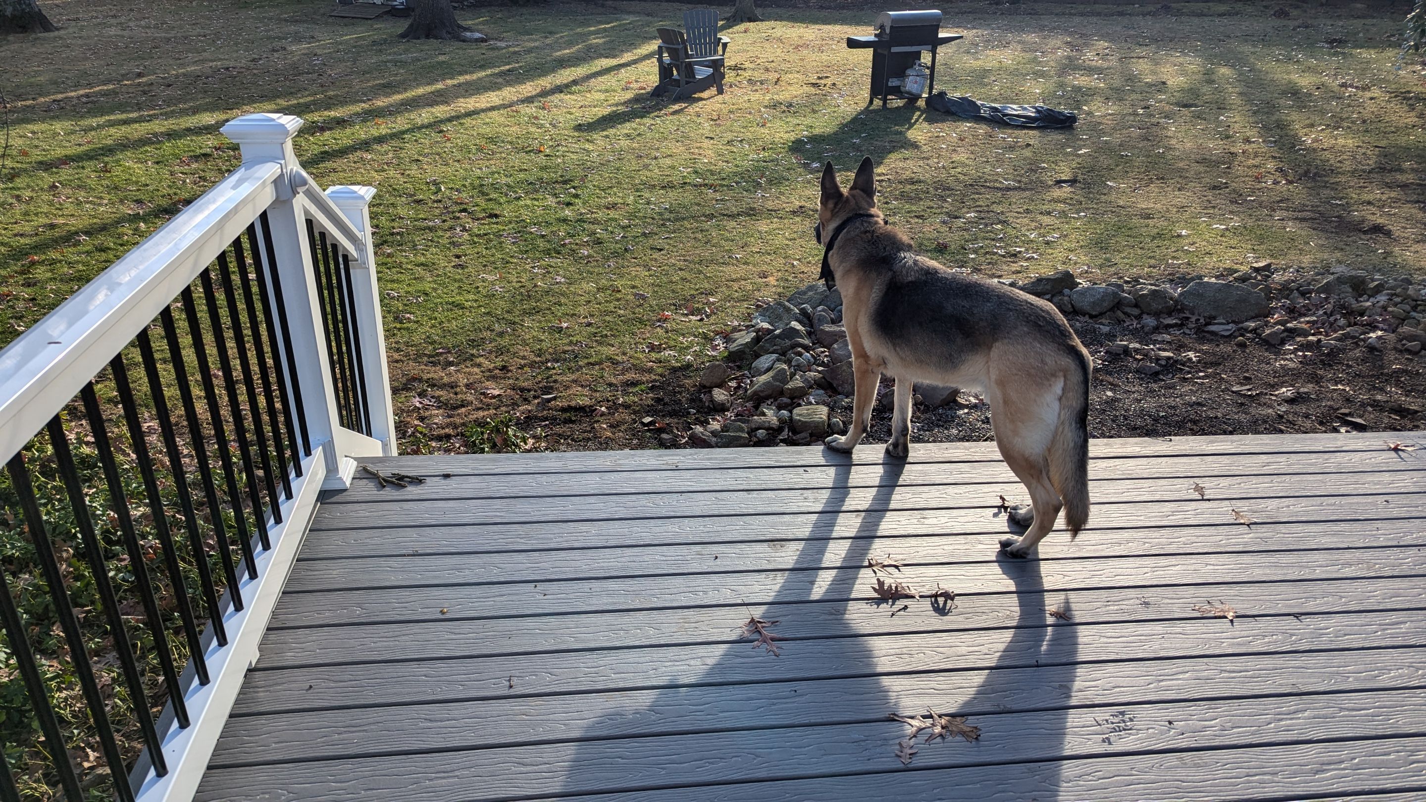 Custom Deck Build & Outdoor Transformation โ MoistureShield Cathedral Stone by Maven Roofing & Exteriors LLC