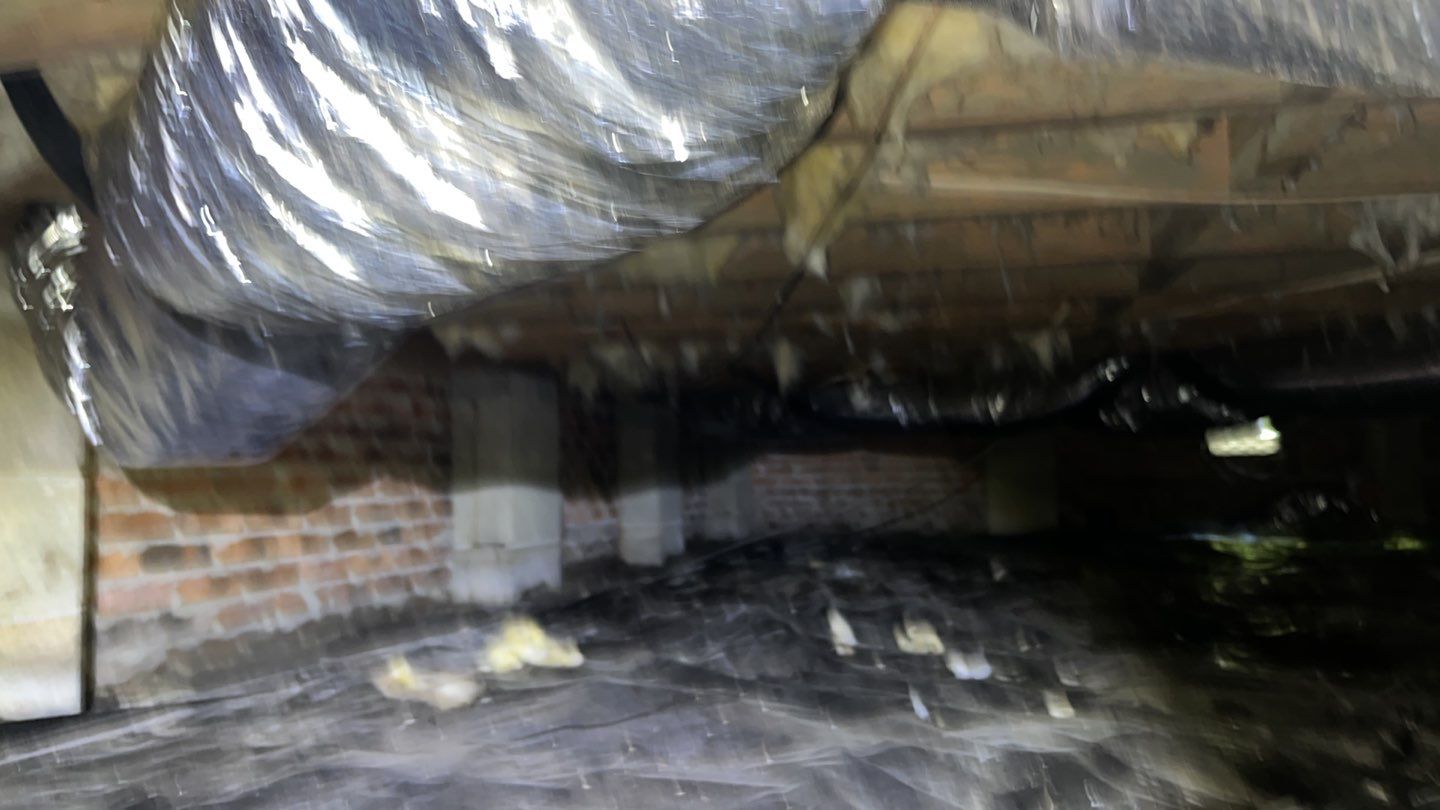 Impact Choice Encapsulation using YCS Pro Cleaner by Impact Crawlspace