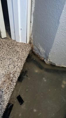 Water Damage