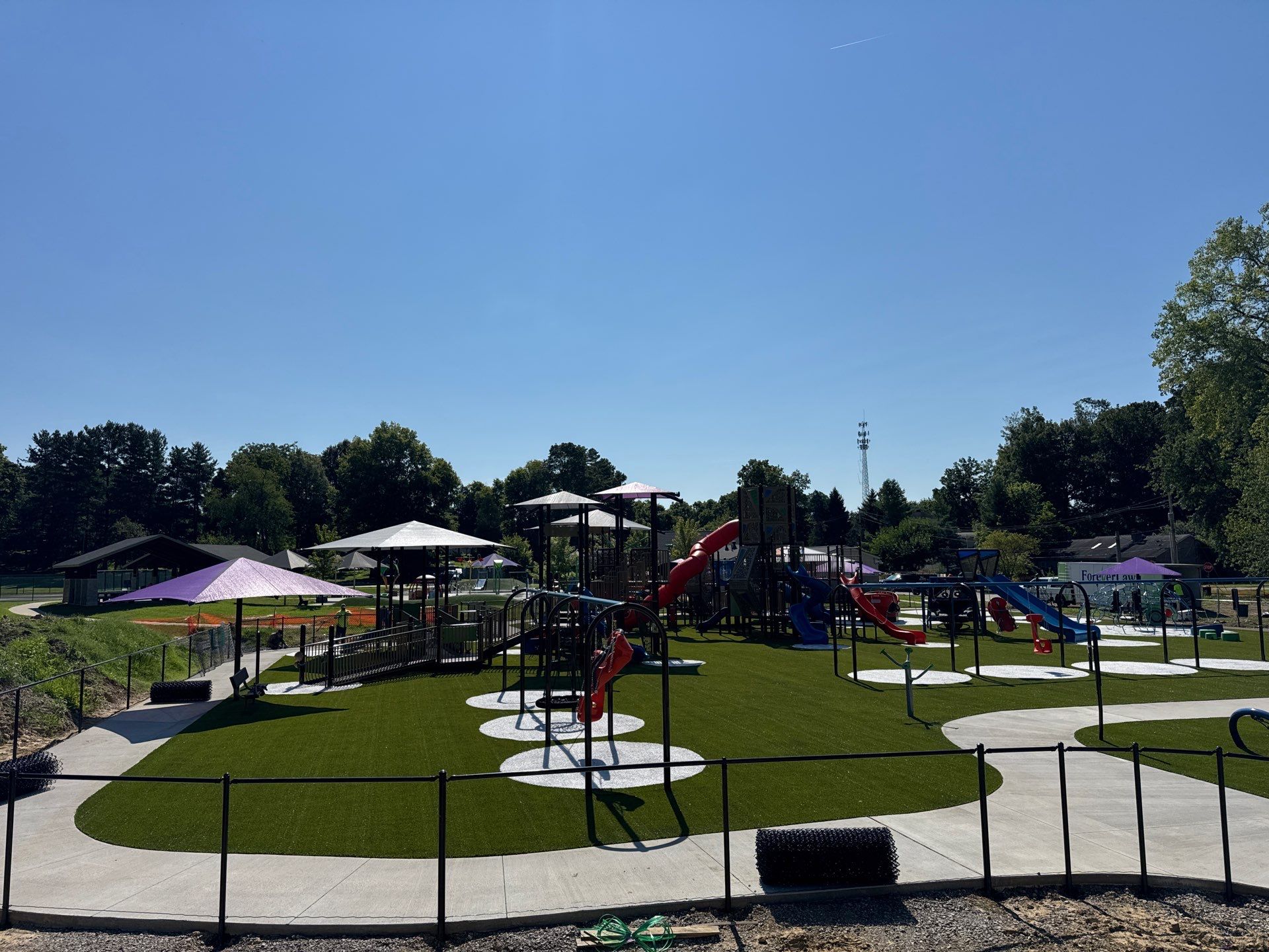Lou Dennis Playground Grass by ForeverLawn NEIN/INDY