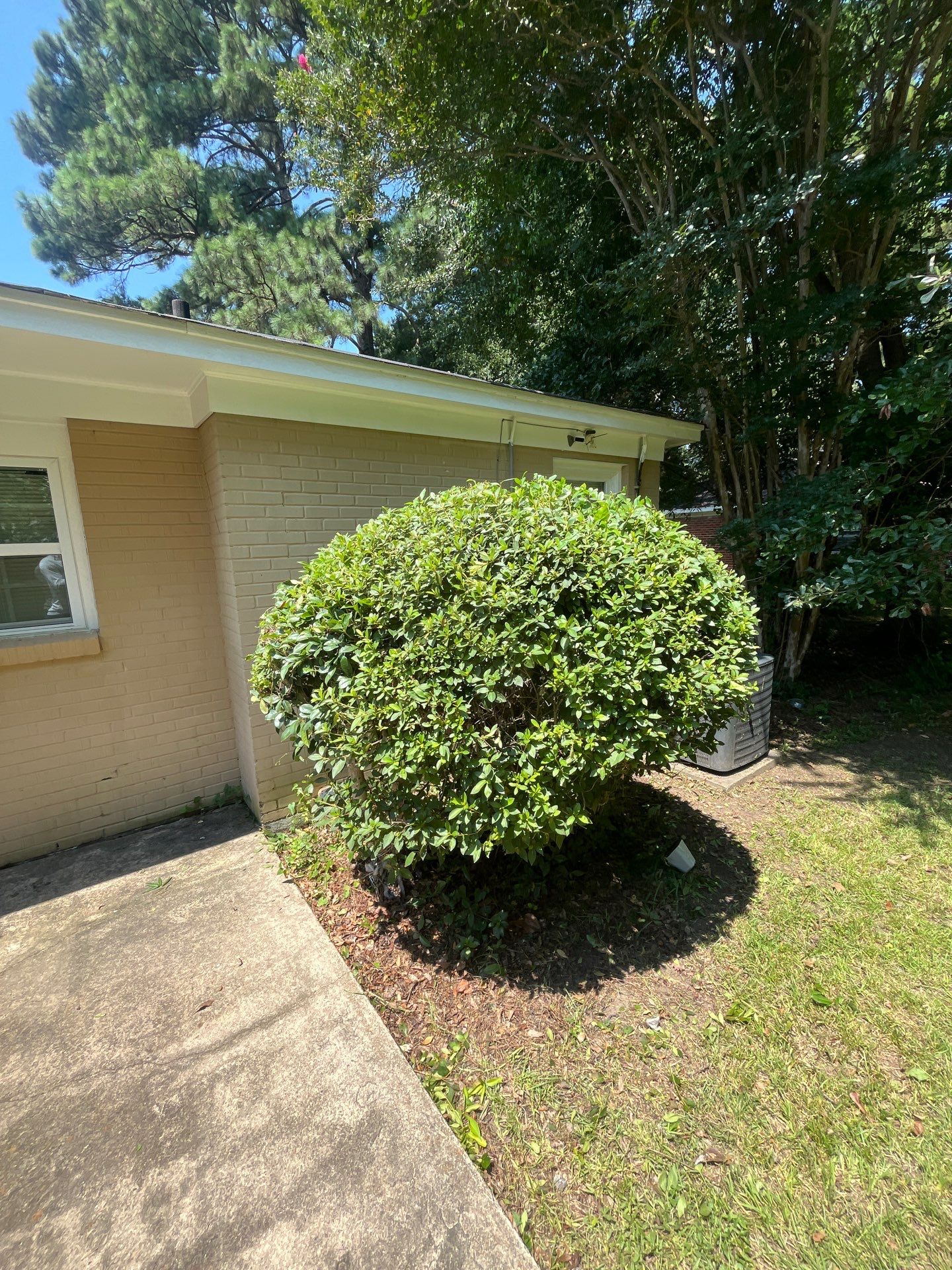 Yard Makeover by College Bros Outdoor services
