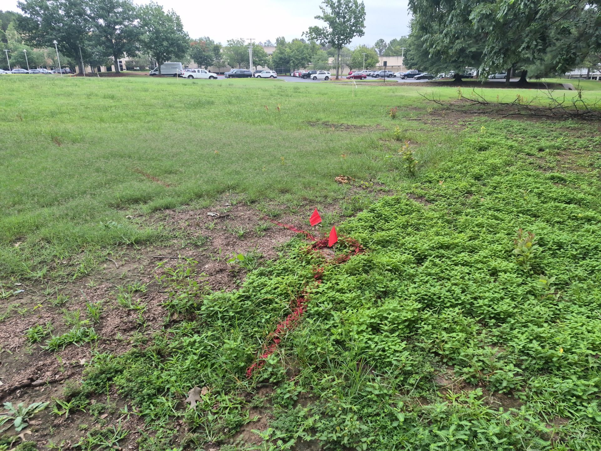 Private Utility Locating and Marking for Collierville Commercial Campus by Alsip Locating Service, LLC