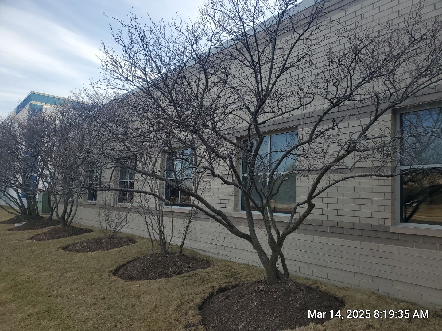 Commercial Facade cleaning using Algaecide, soft wash soap by Northern Power Washing LLC.