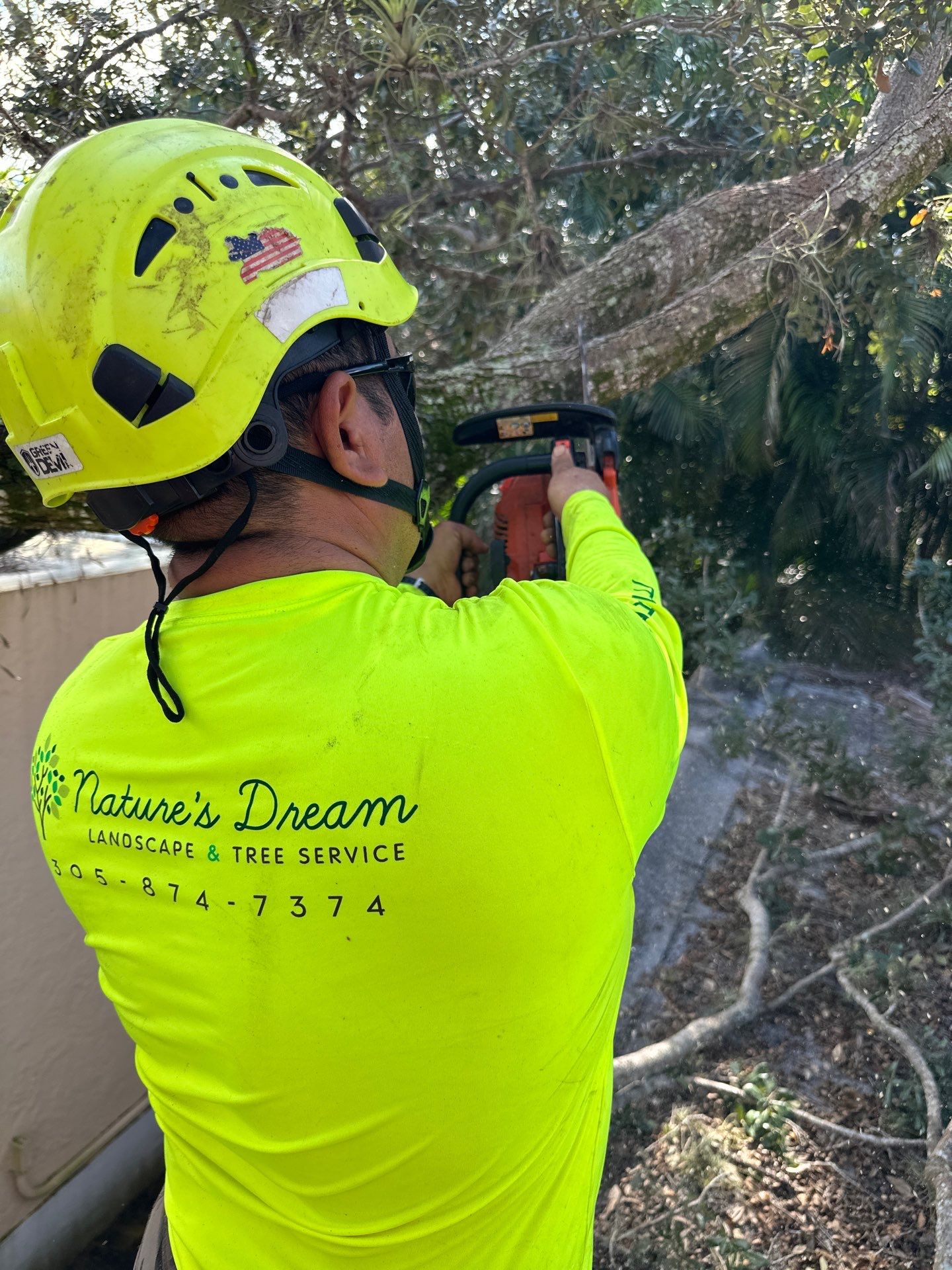 Removing Low Tree Branches Over Roof by Nature's Dream Landscape and Tree Service