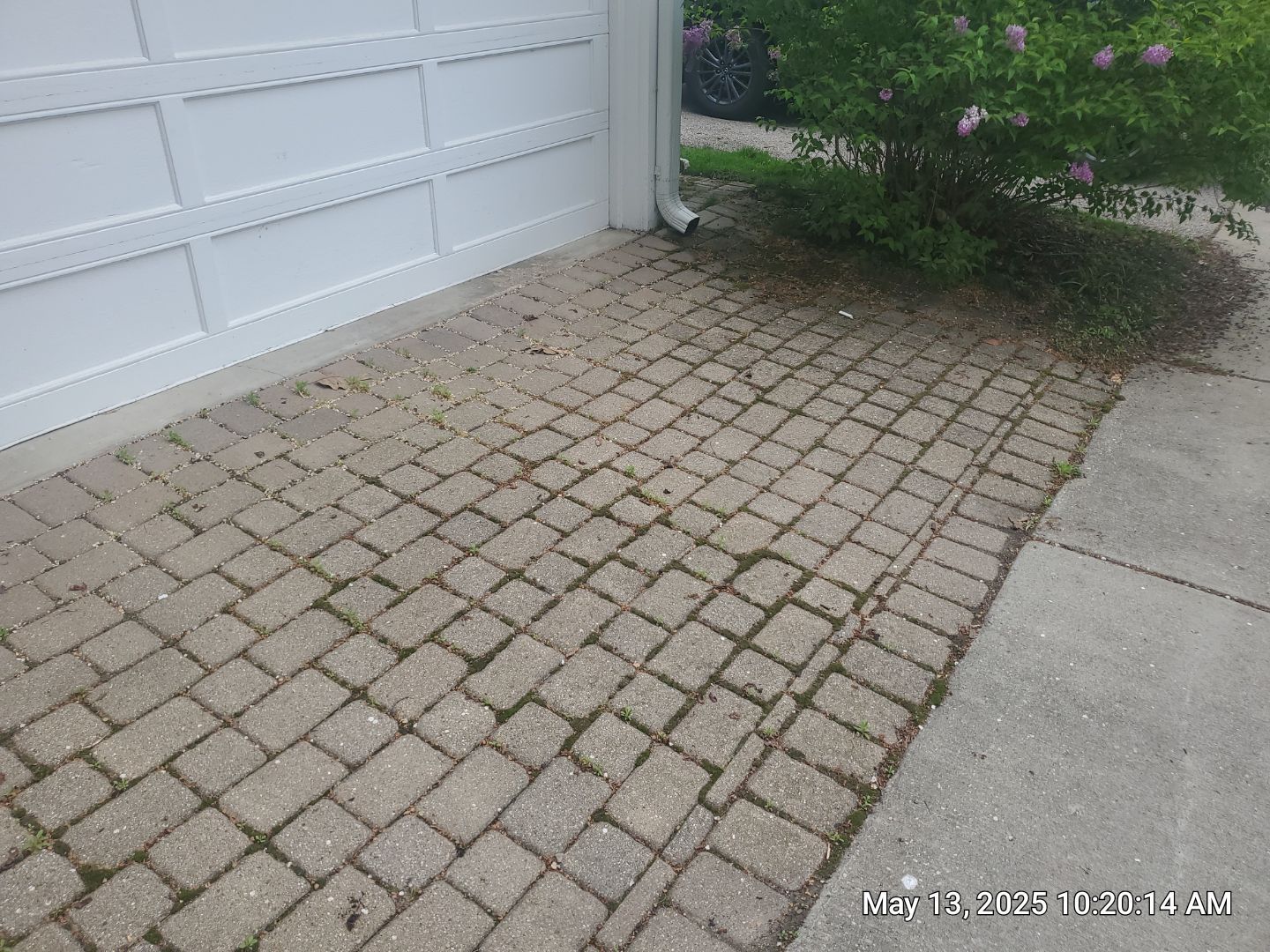 Brick paver cleaning and sealing by Northern Power Washing LLC.