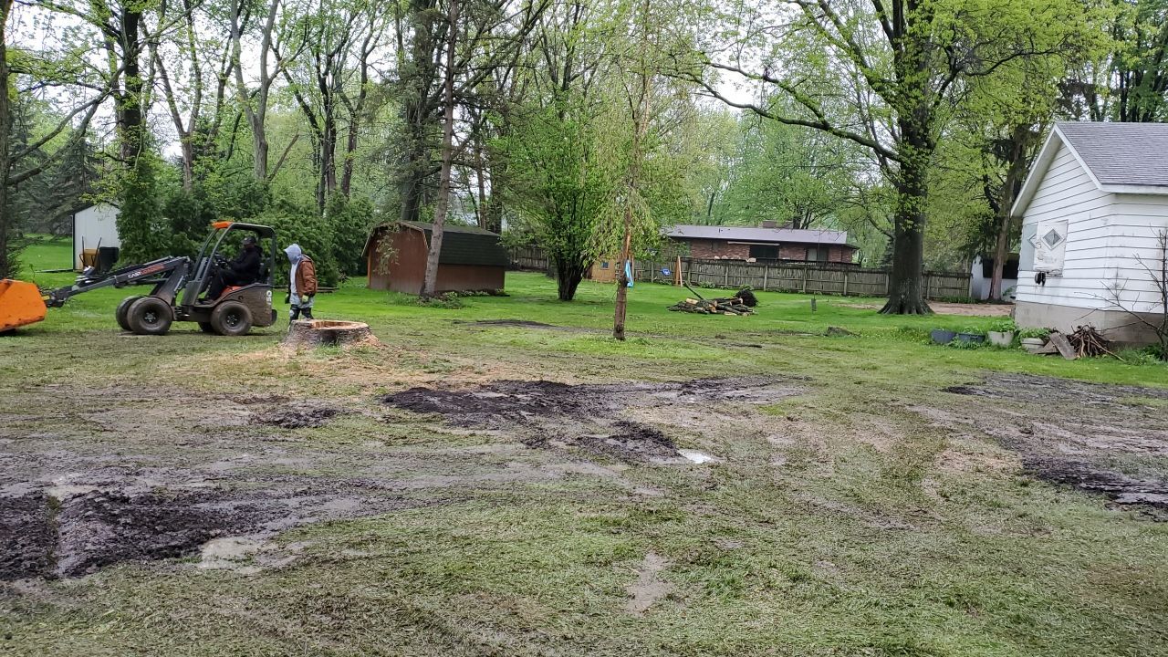 Tree Removal using Tree Removal by Mike Jones & Sons Tree Service LLC 