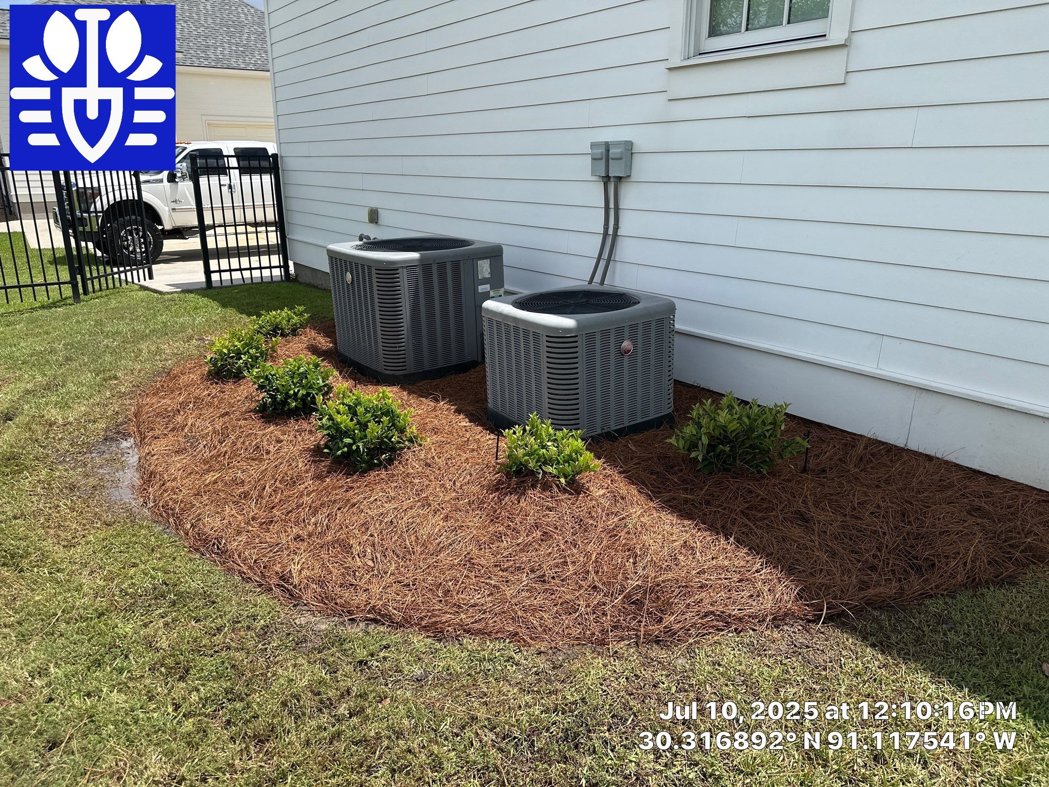 LANDSCAPE SERVICES: LANDSCAPE CLEANUP by CutScape, LLC.