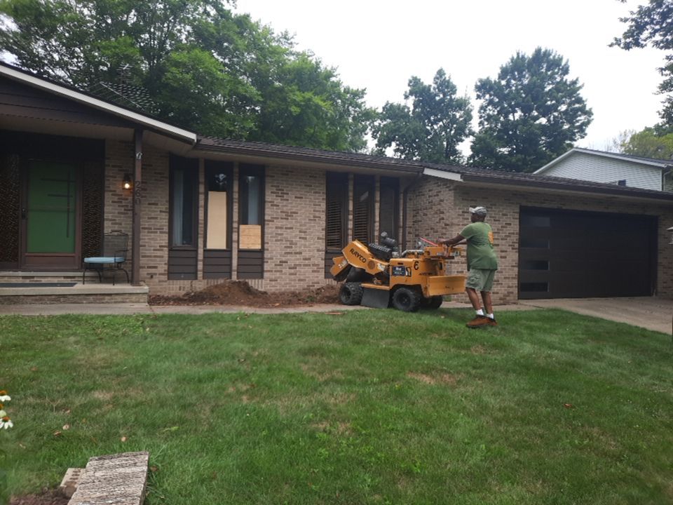 Tree Removal using Tree Removal by Mike Jones & Sons Tree Service LLC 