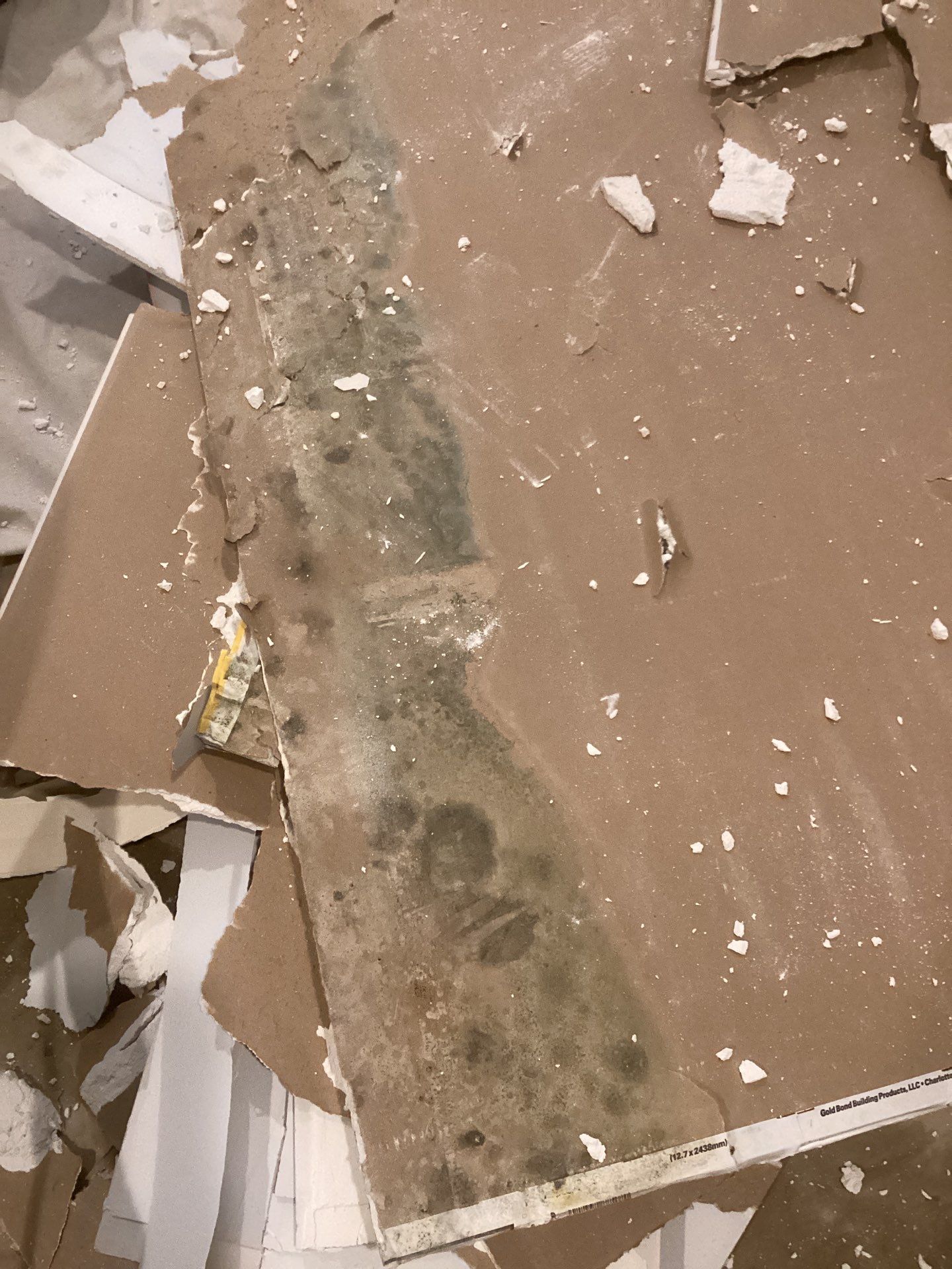Mold Free Peace of Mind by Waterproofing Northeast
