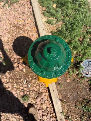 Project in Fort Collins