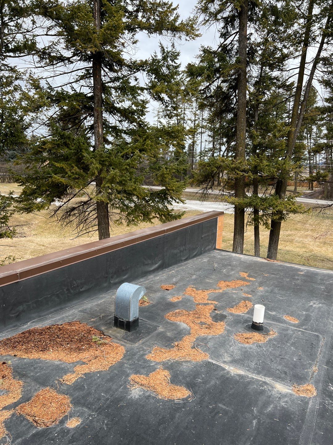 GAF Timberline HDZ - Charcoal by Montana Roofing Solutions