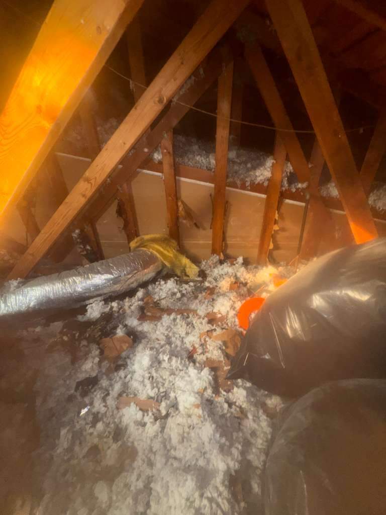 Project in Newport Beach by Advanced Attic Solutions